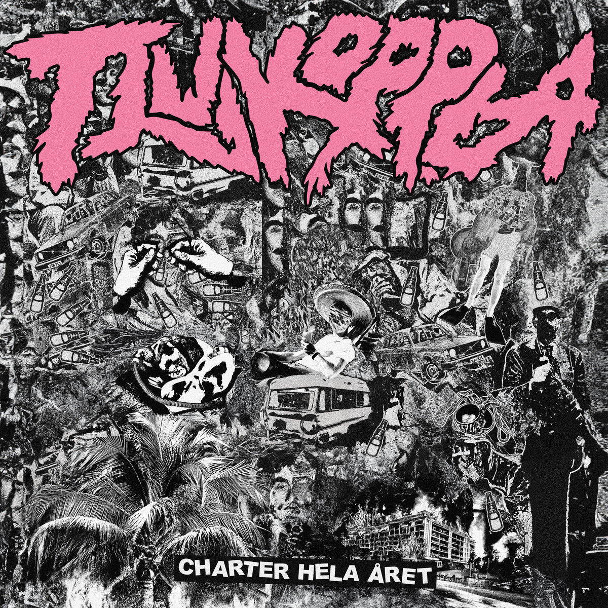 TJUVKOPPLA - Charter hela året LP