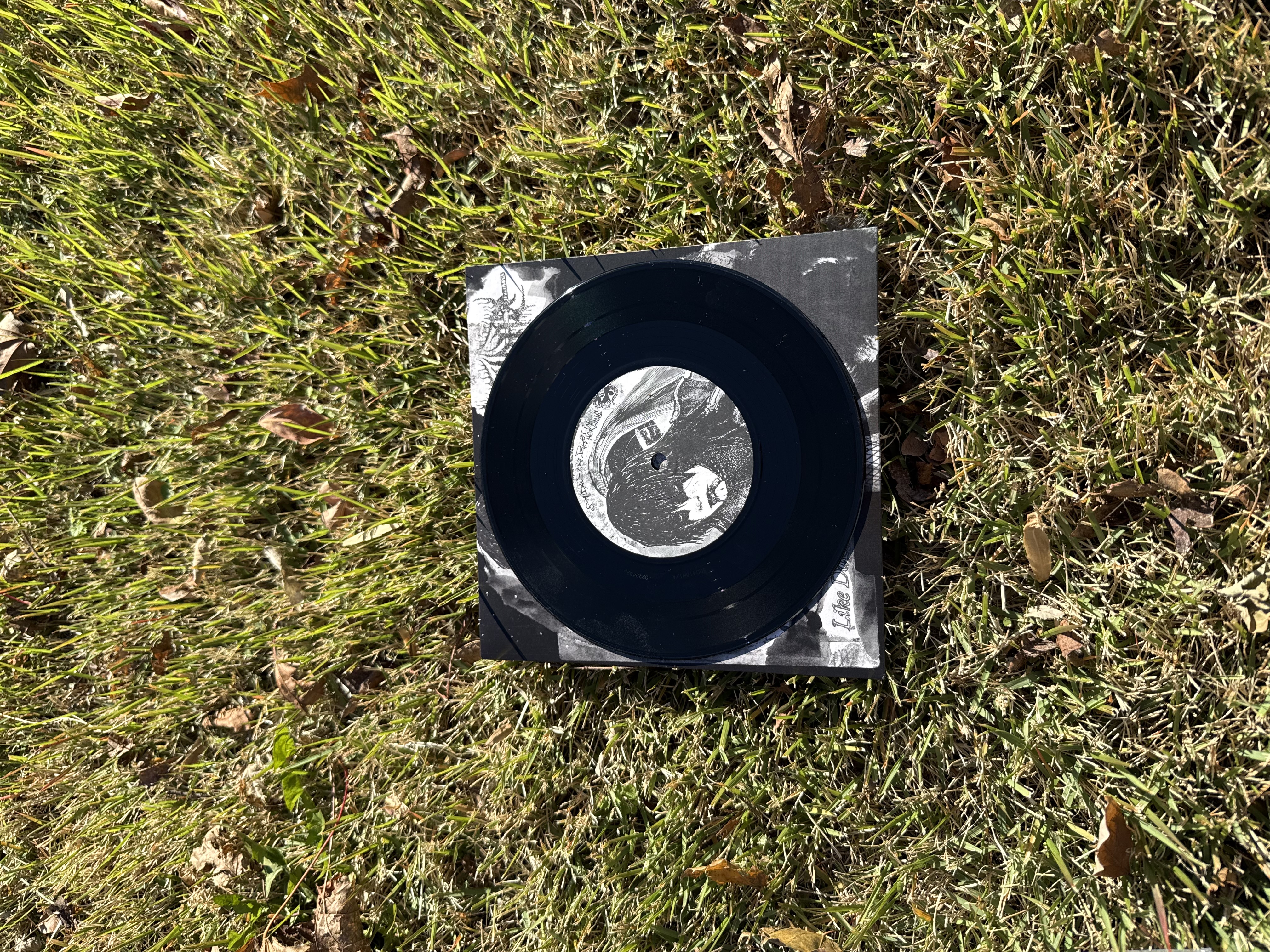 Trhä / Saidan split