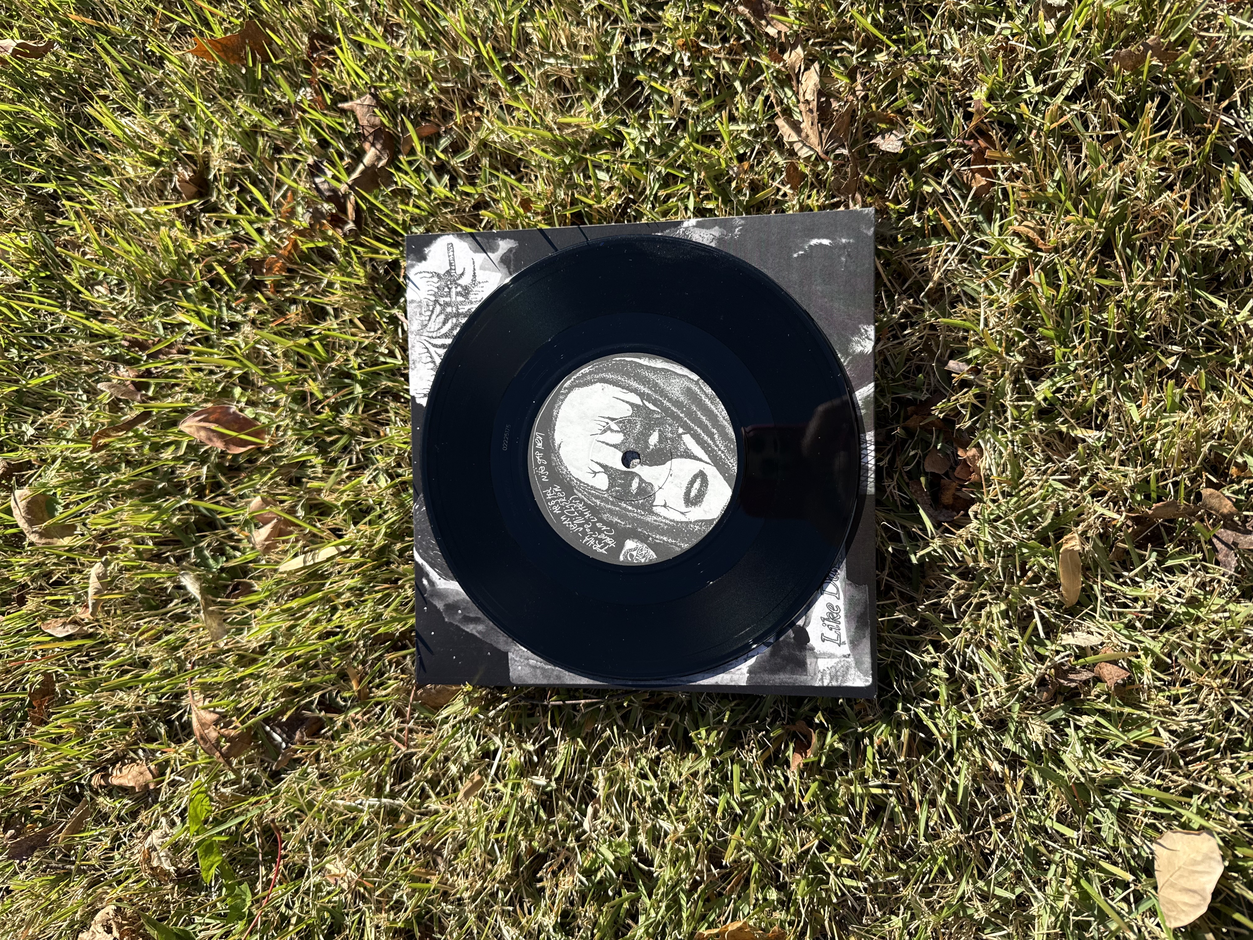 Trhä / Saidan split