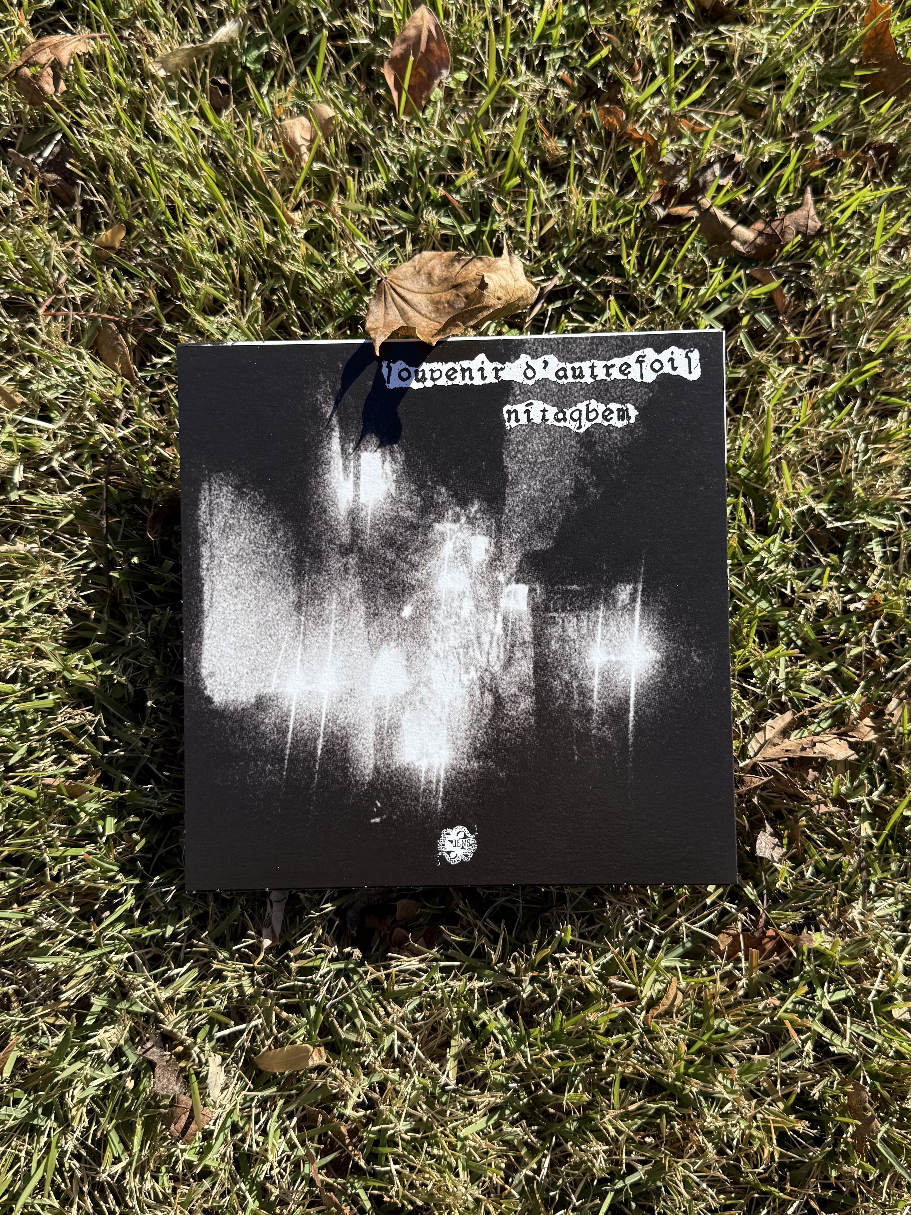 Trhä / Midoran split 7