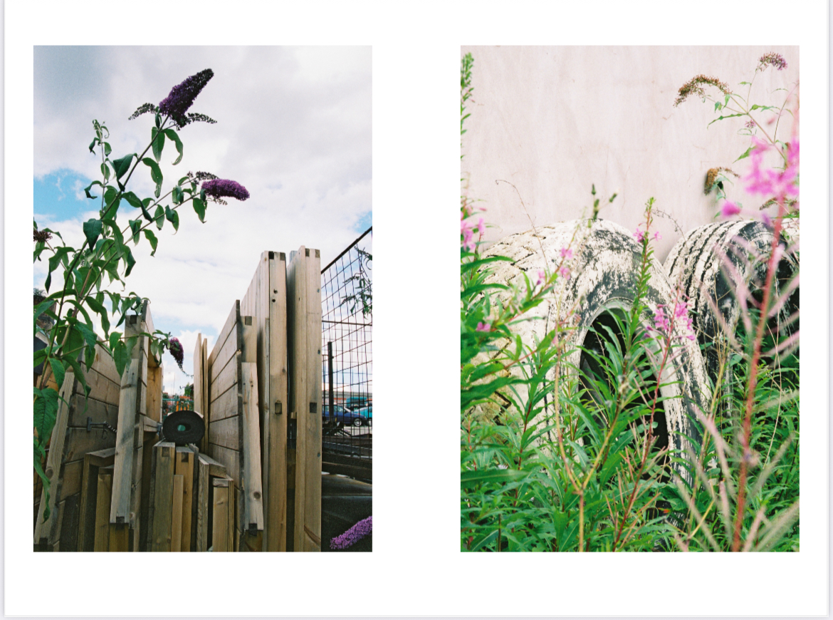 Al Palmer - Nowhere Blossoms