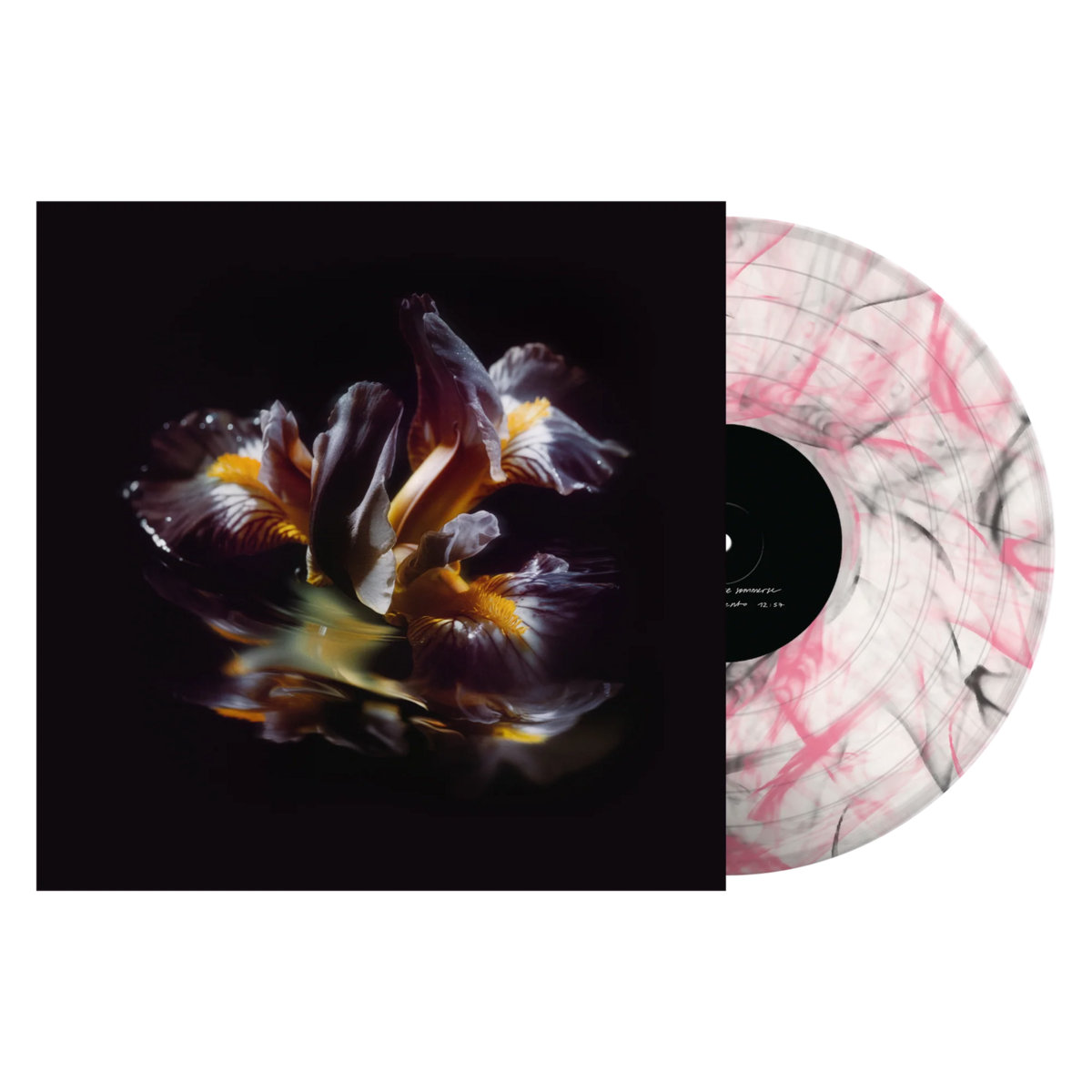 Raein - Forme Sommerse LP