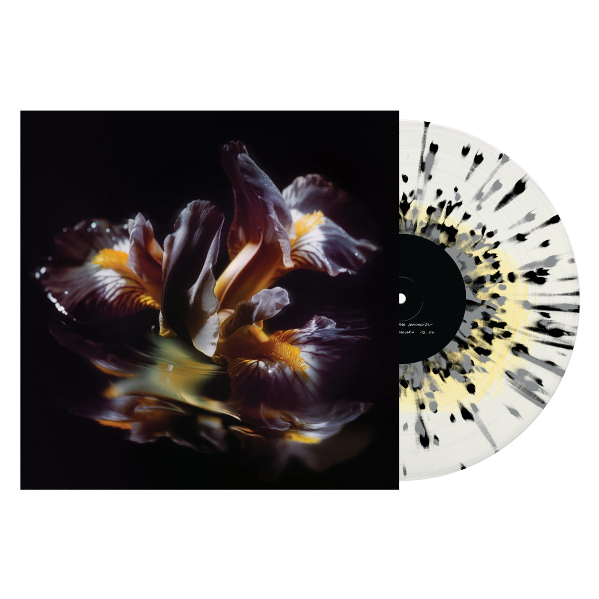 Raein - Forme Sommerse LP