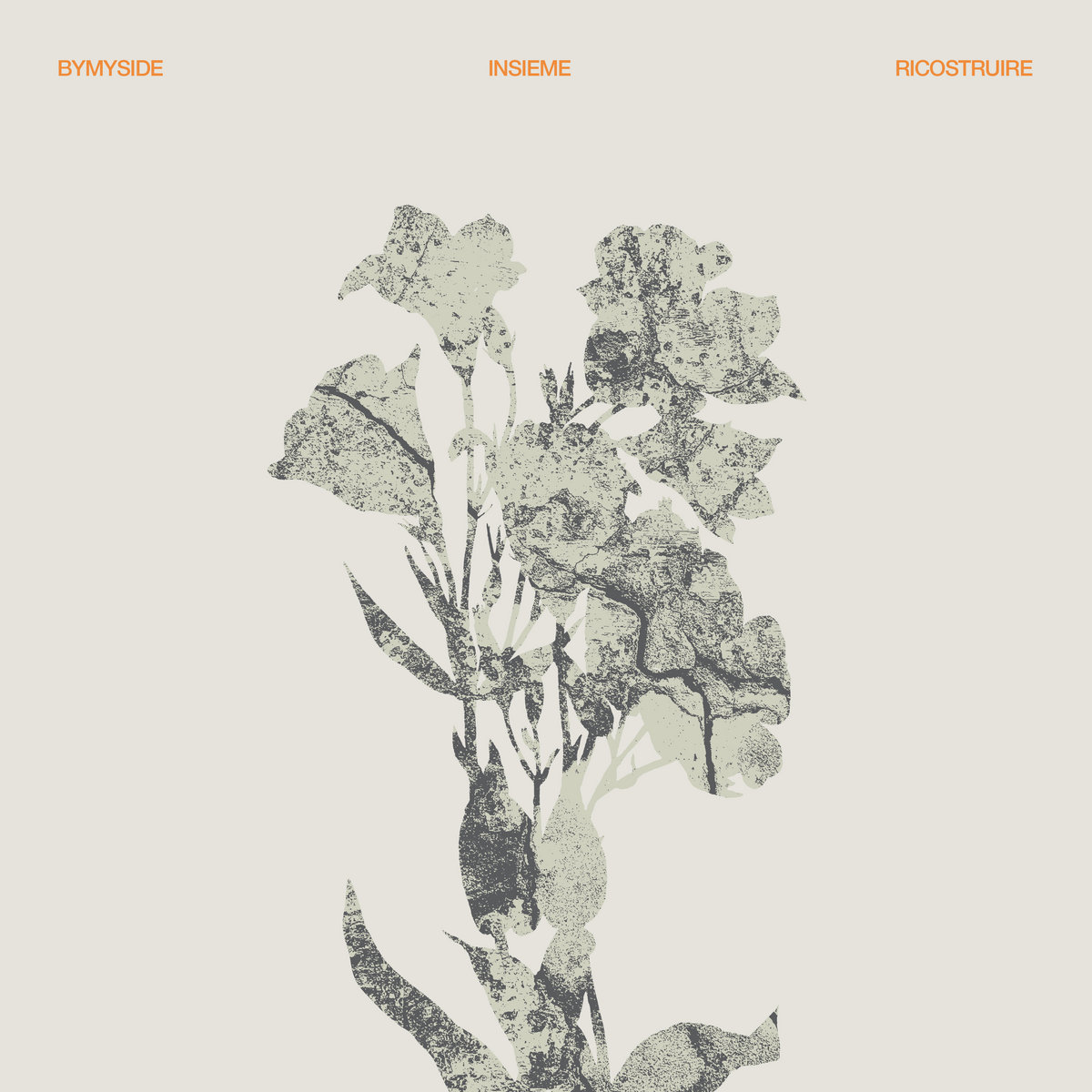 Bymyside - Insieme Ricostruire