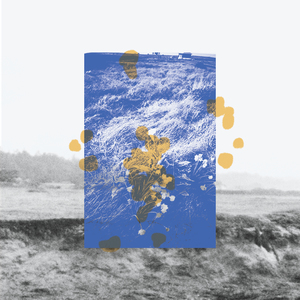 Volena - Live at Salmon Creek