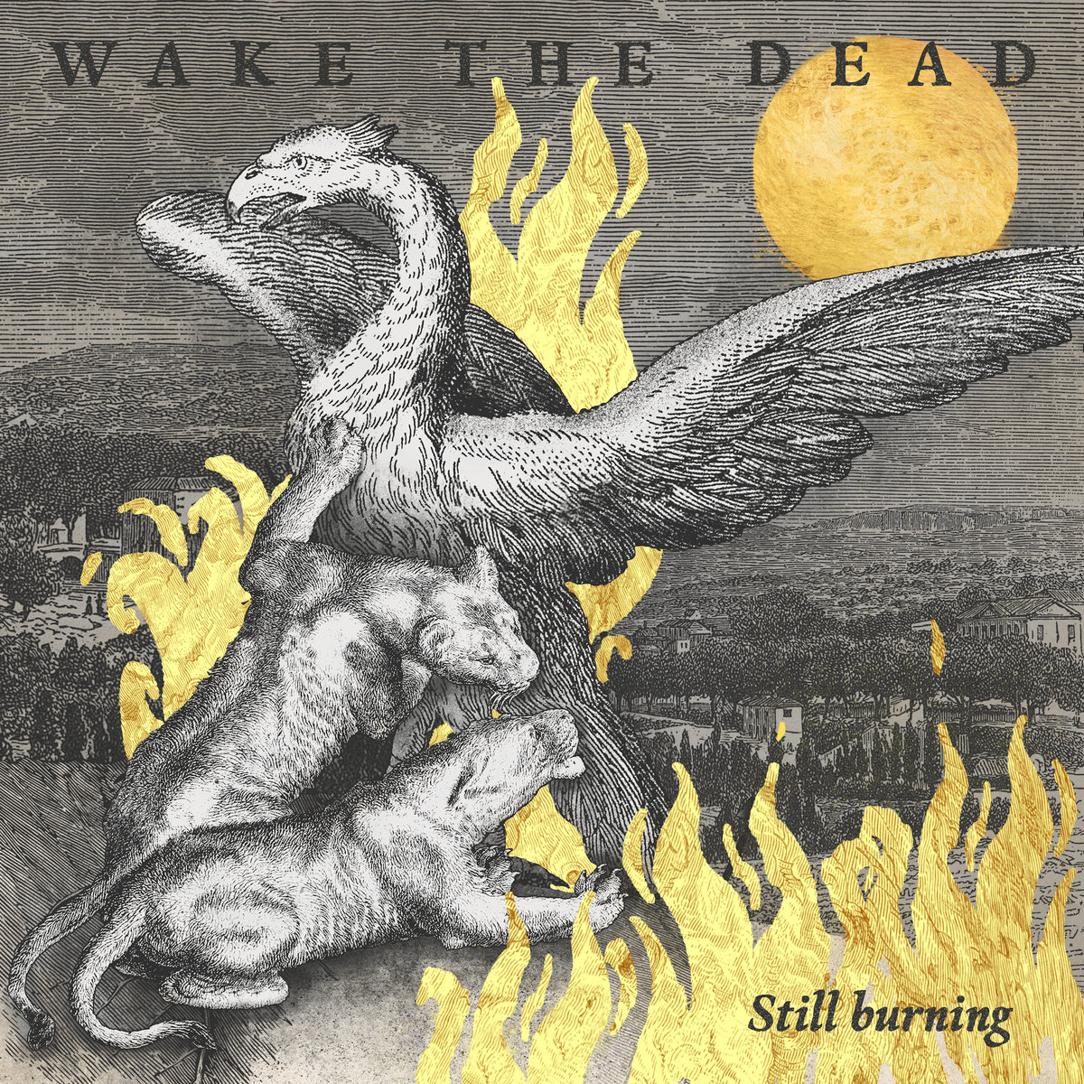 WAKE THE DEAD - Still Burning /// LP 12