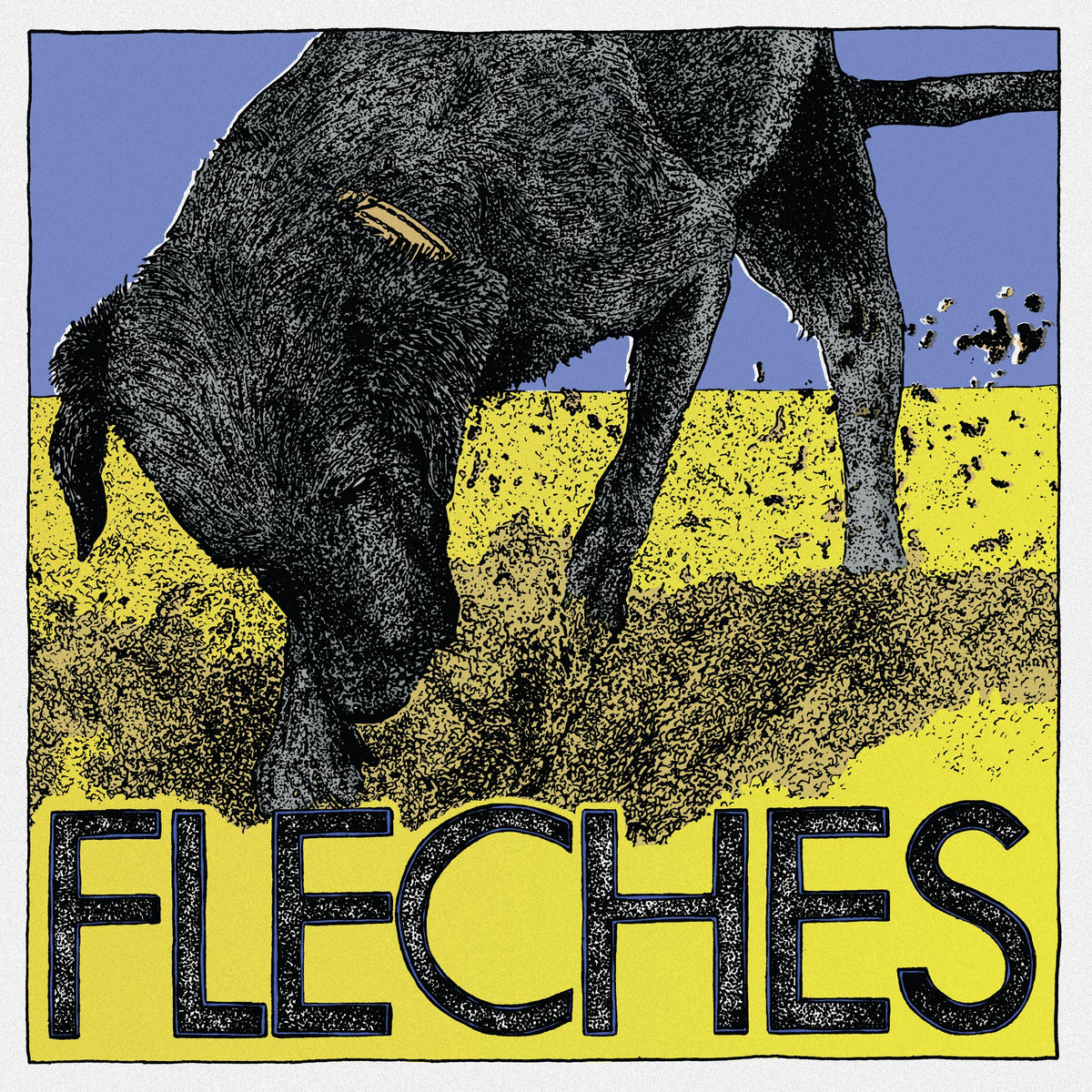 FLECHES - s/t /// LP 12