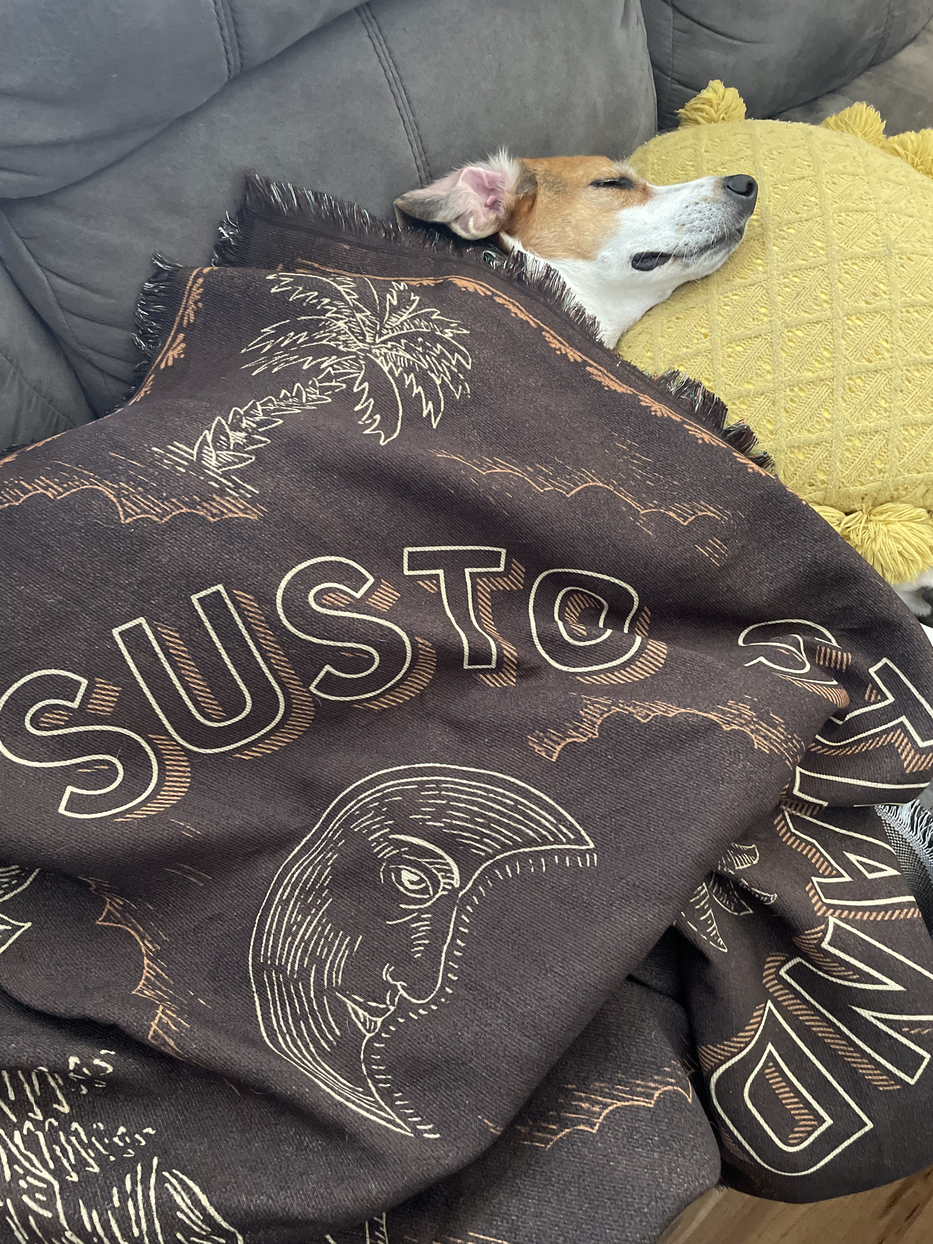 SUSTO STRINGBAND Woven Blanket