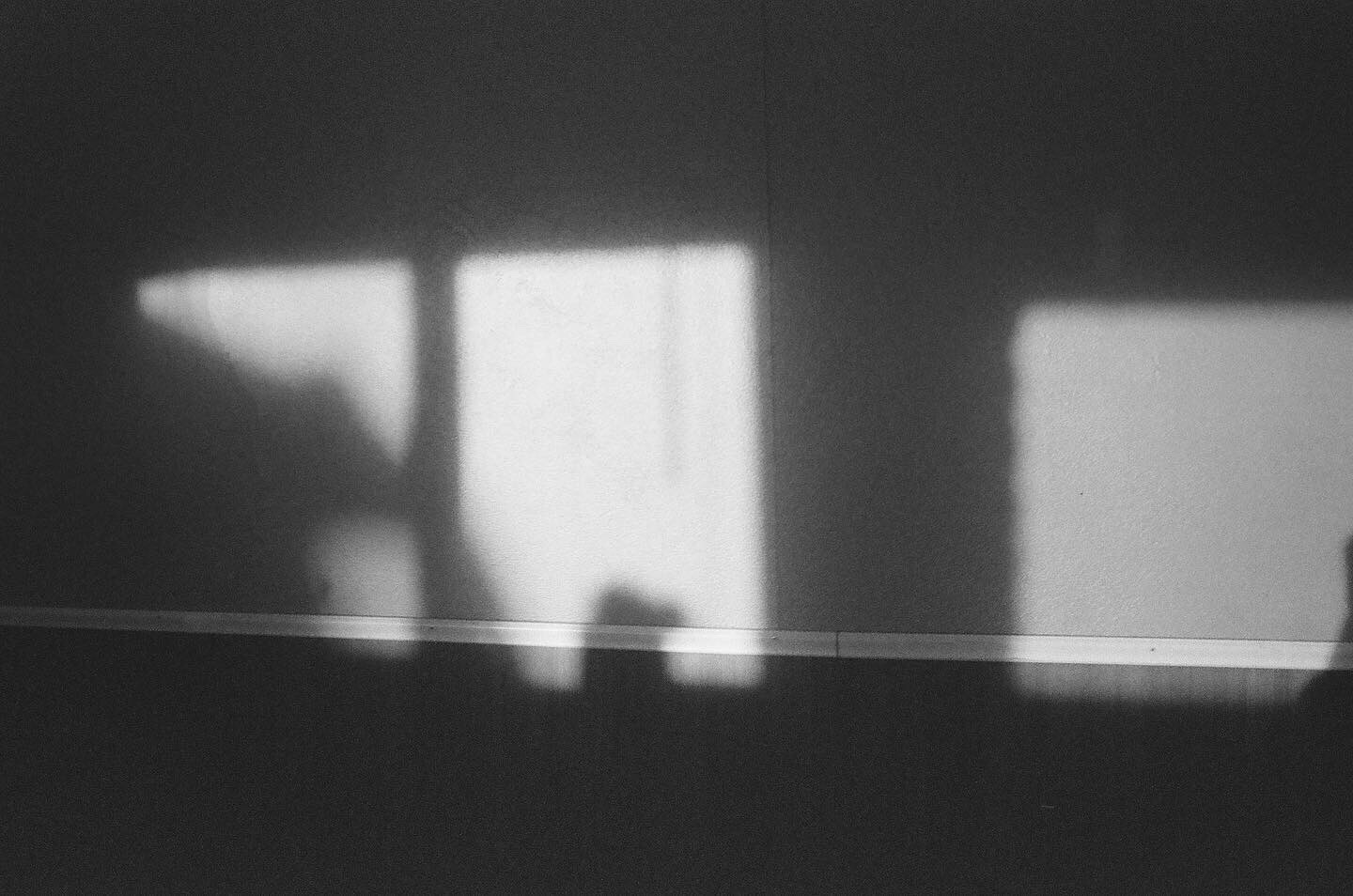 corvid-orchard-plot-line-records