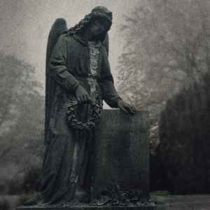 Sinister Downfall ‎- The Last Witness CD