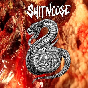 SHITENOOSE 