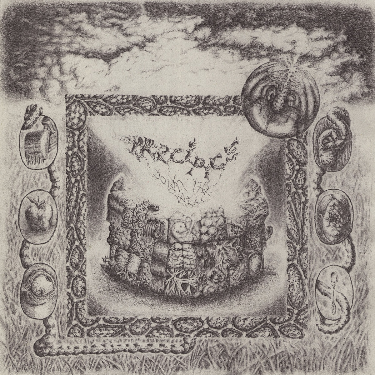 PRECIPICE - down the well MLP