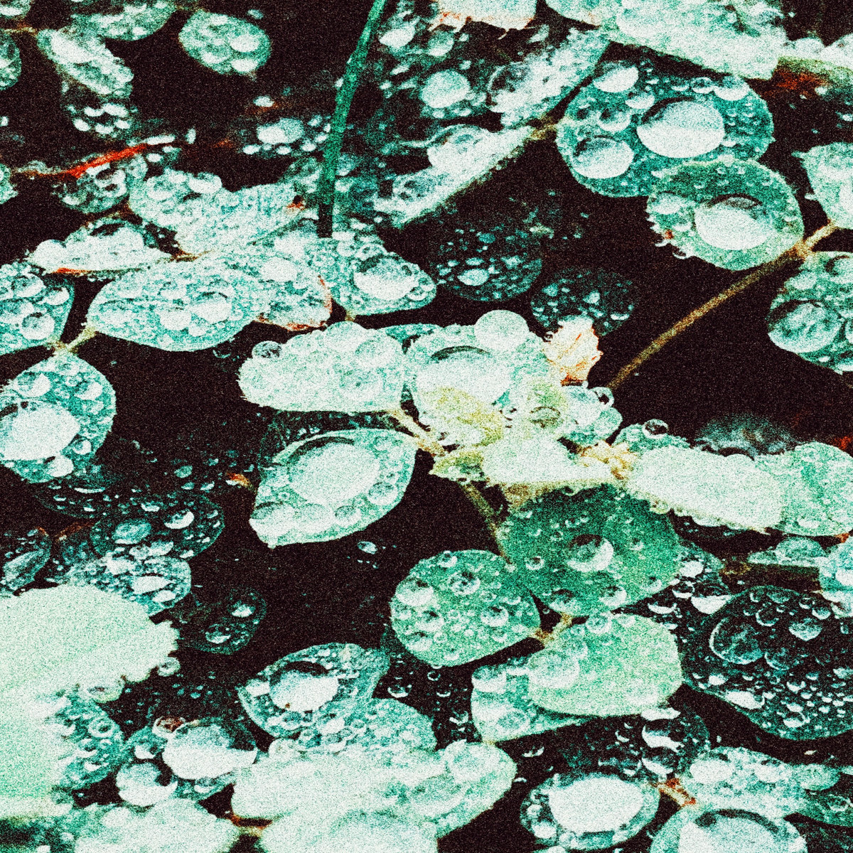 SADNESS - RAIN CHAMBER