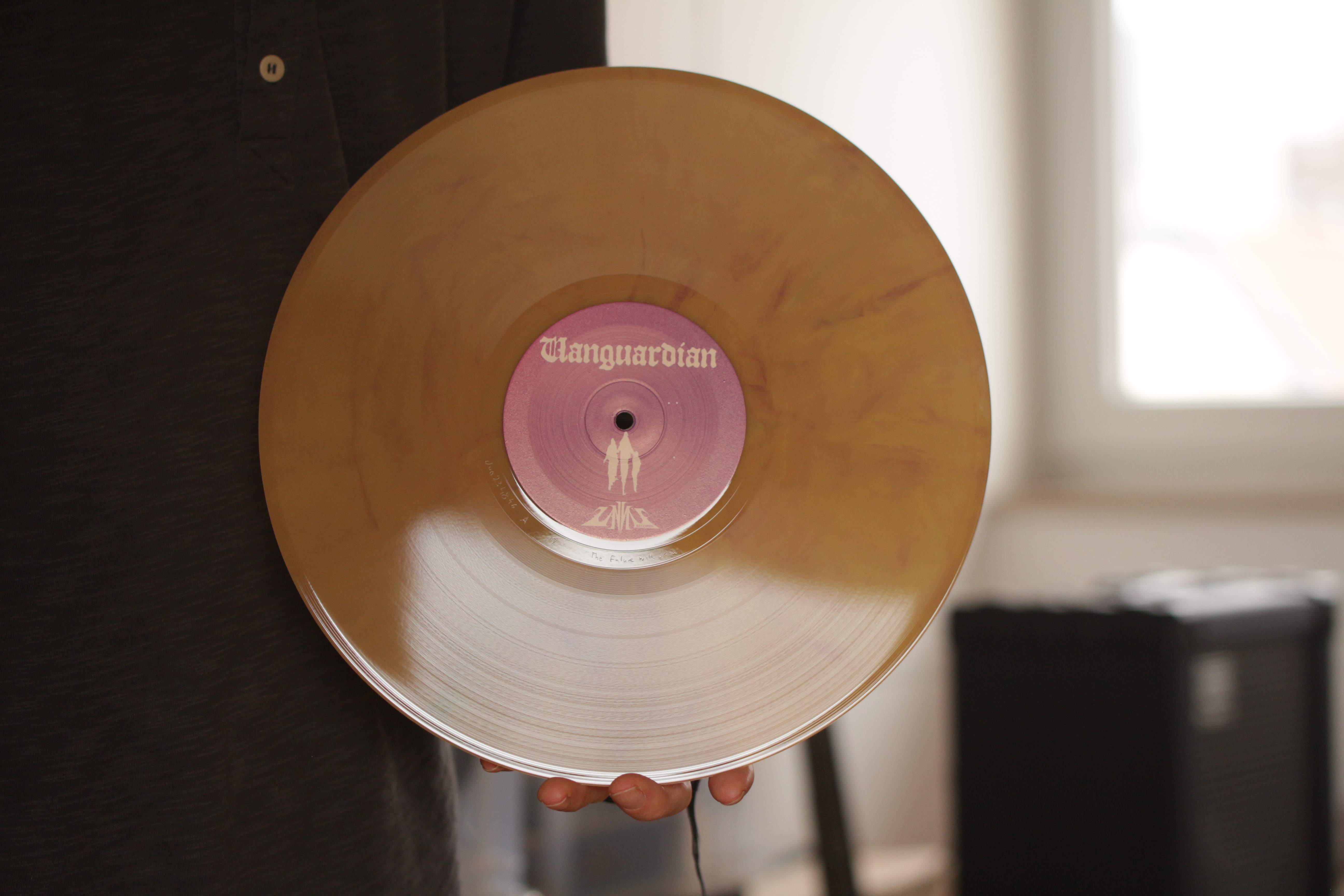 Eremit - Vanguardian protect | 12