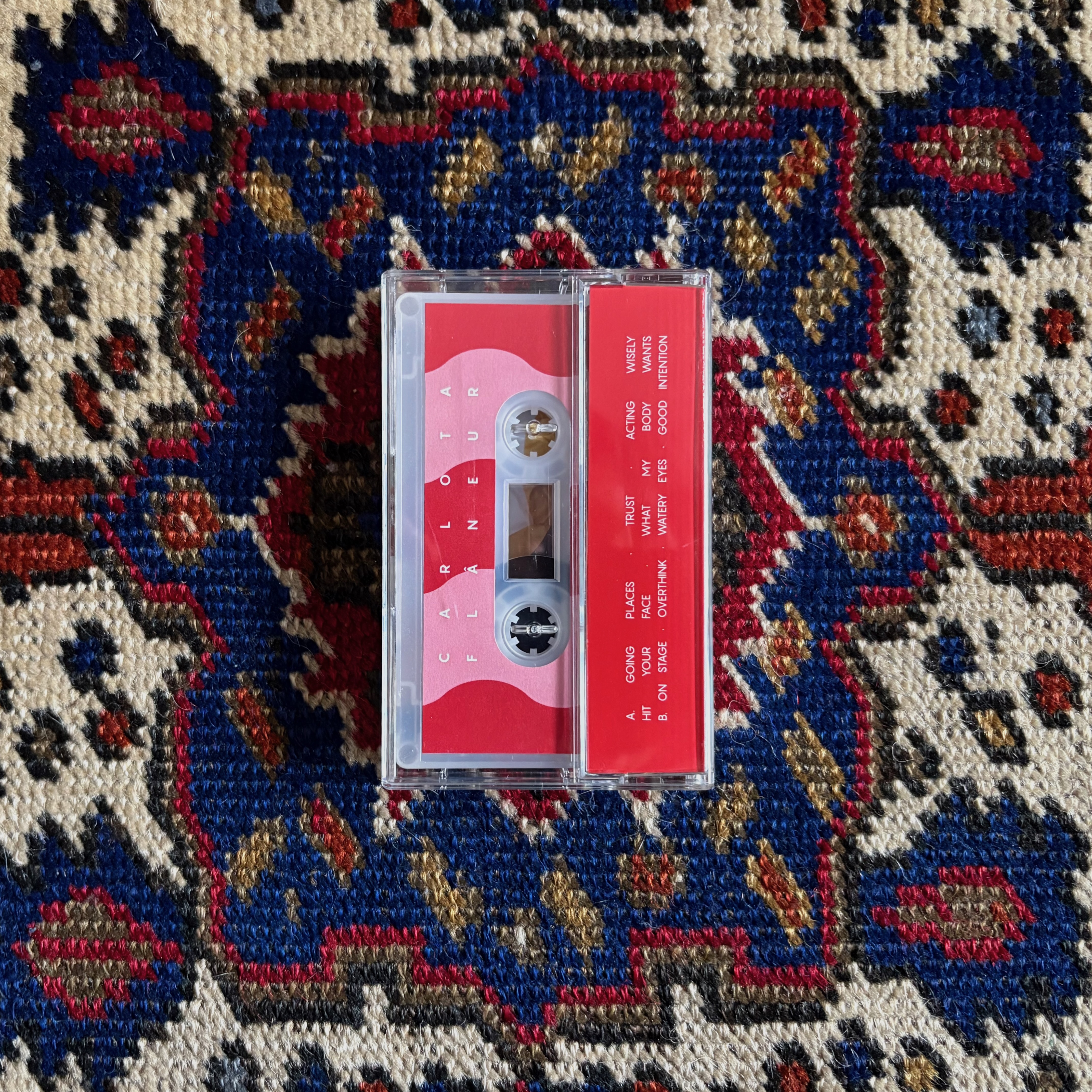 CARLOTA FLÂNEUR - “What My Body Wants” Cassette (EMPTY 6 PACK)