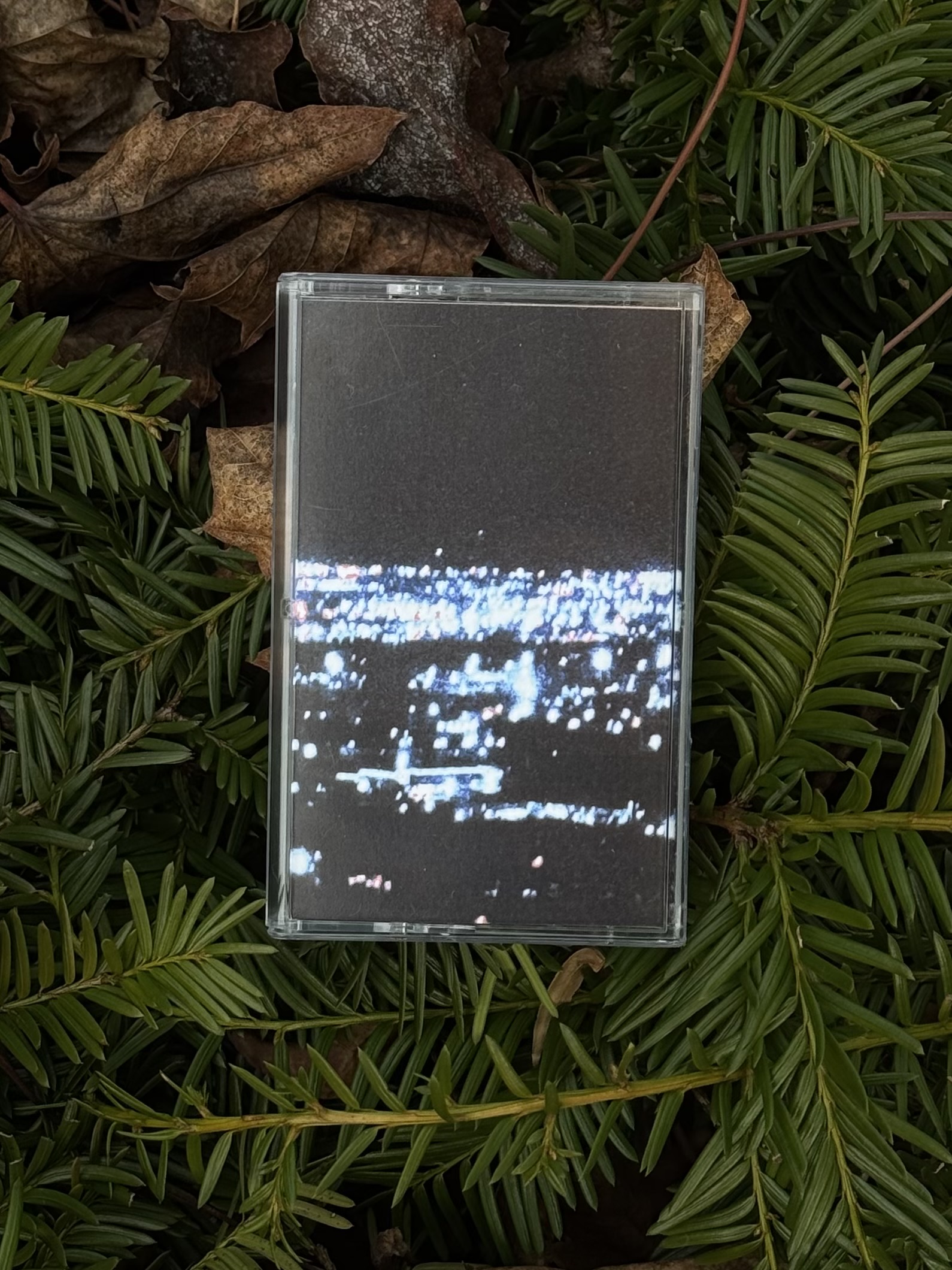 th73 Sadness / Shimmer