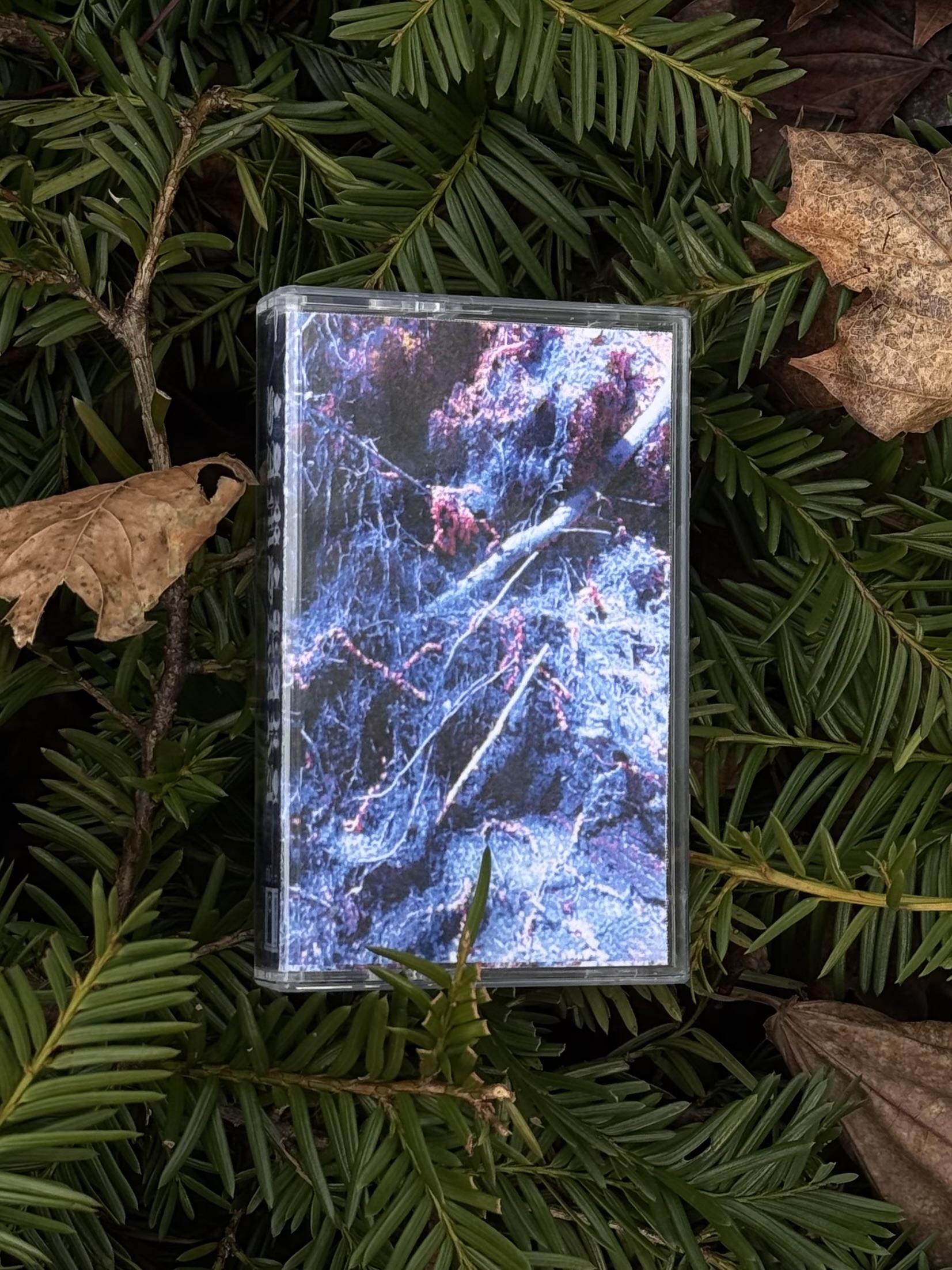 th74 SAMSKARA / SAMSKARA