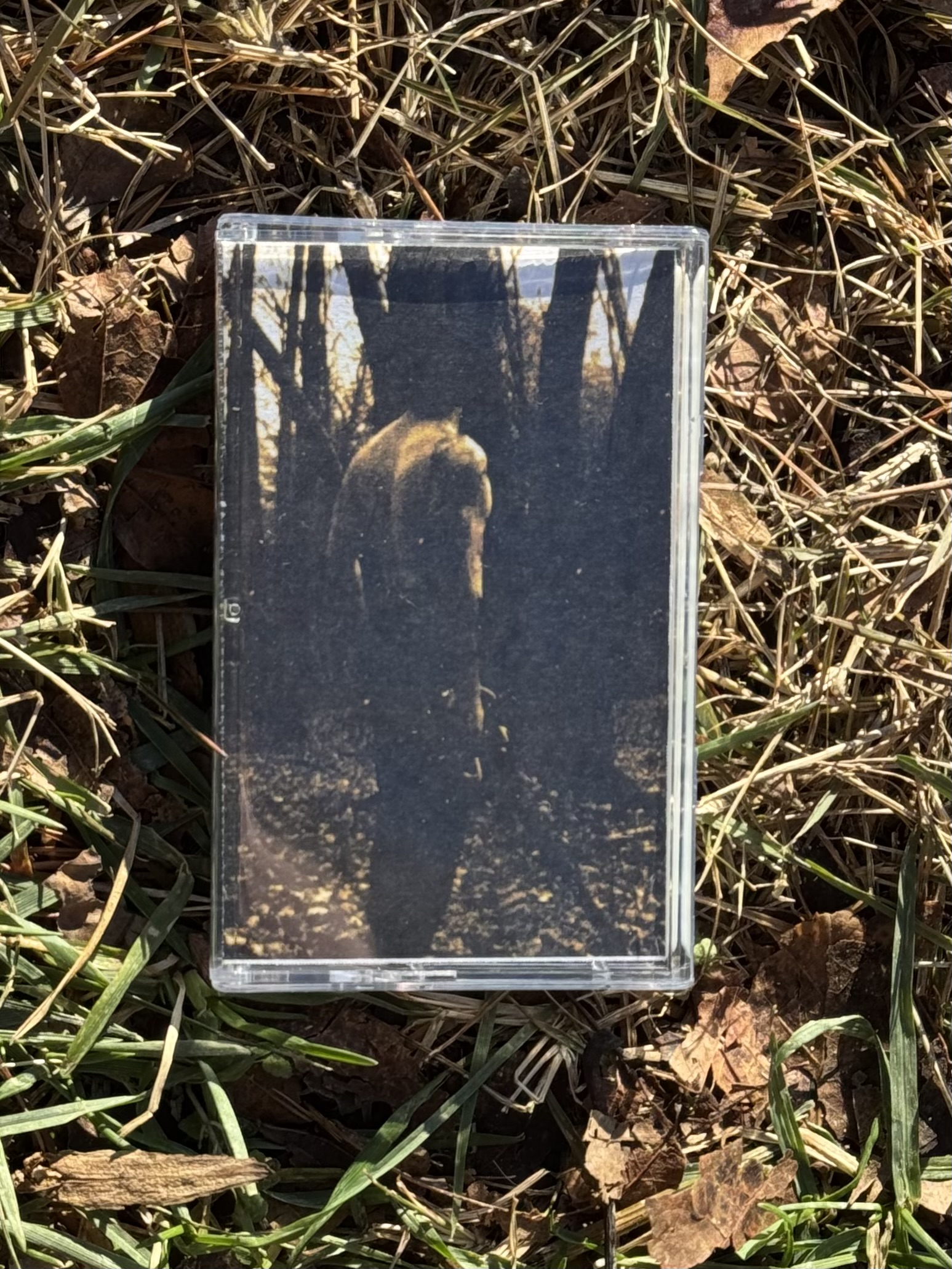 th78 Trhä / tahaccet ga qëcha com ibajn