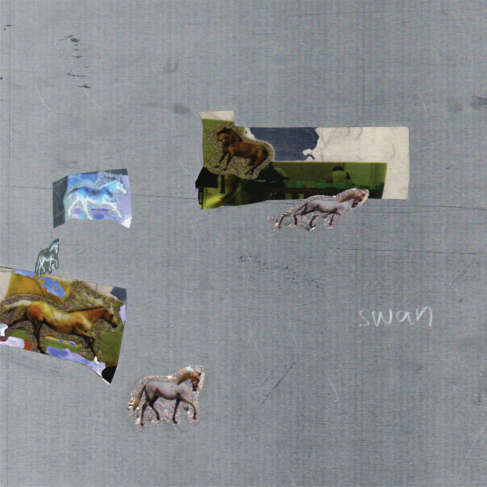 Fazed on a Pony - swan