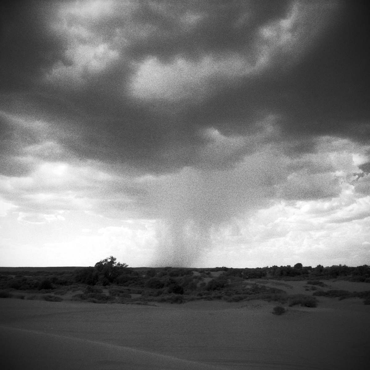 Little Sahara, Waynoka, OK