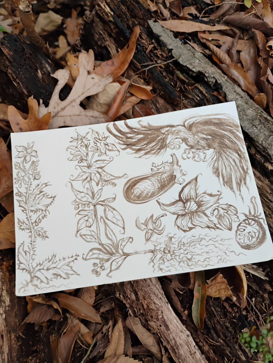 Paintings: Medieval Animals