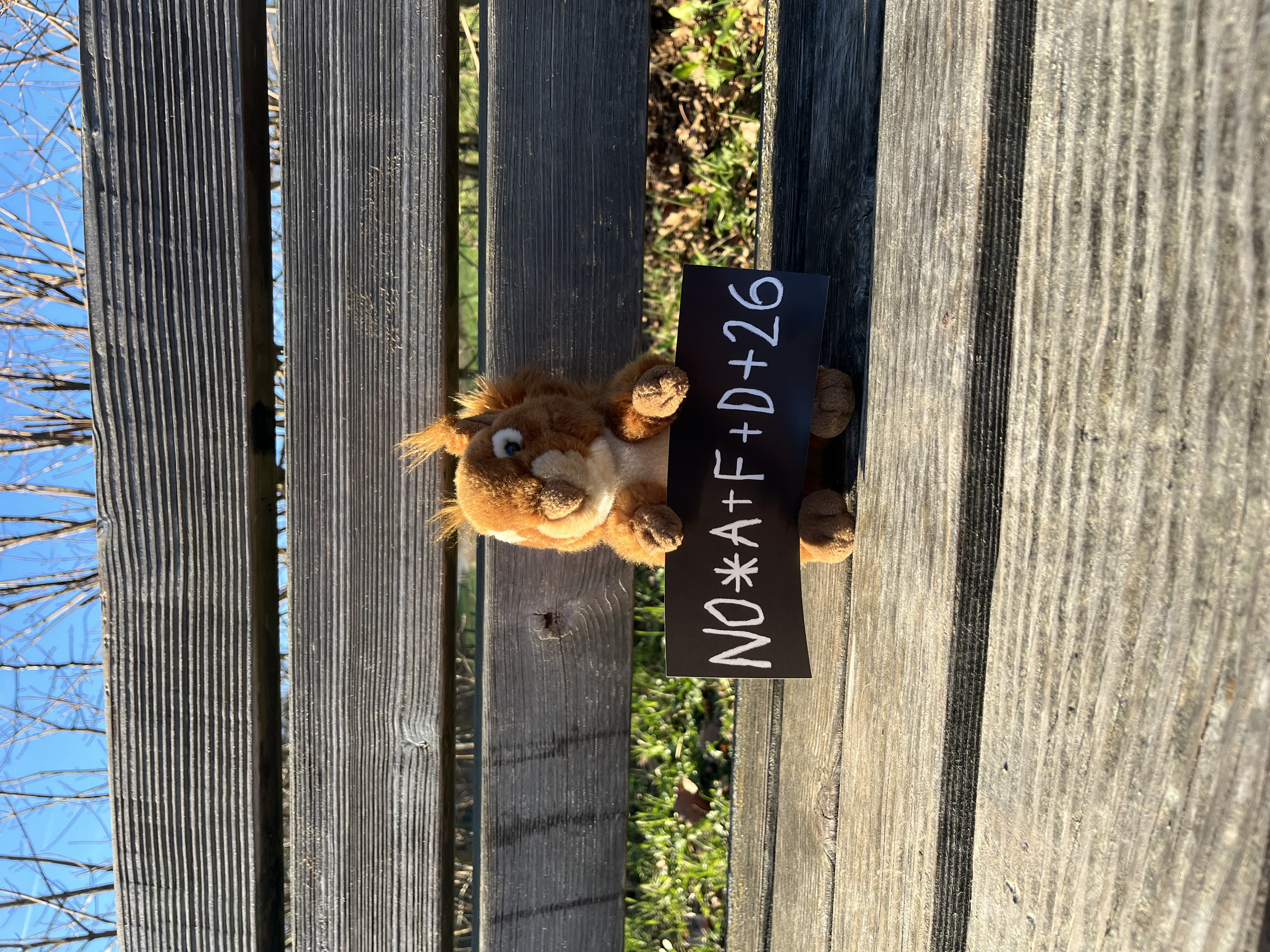 NO*A+F+D+26 Aufkleber