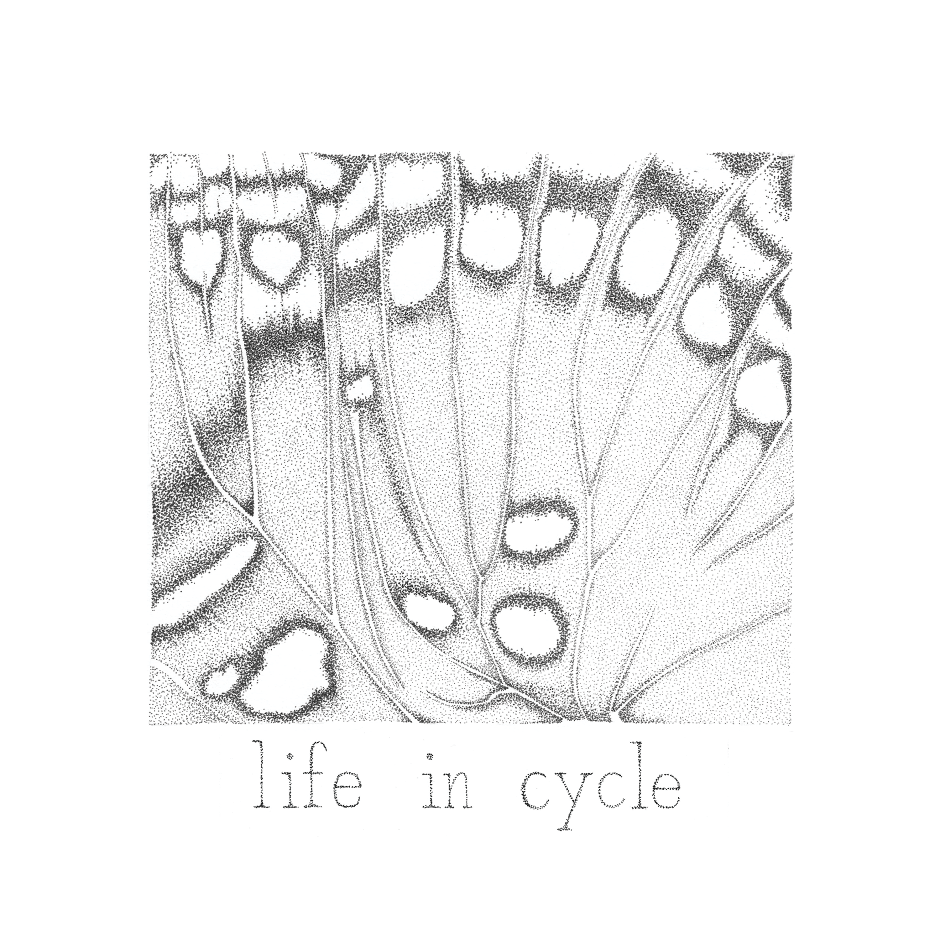 fhae - ‘life in cycle'