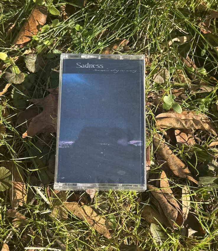 th81 Sadness / somewhere along our memory...