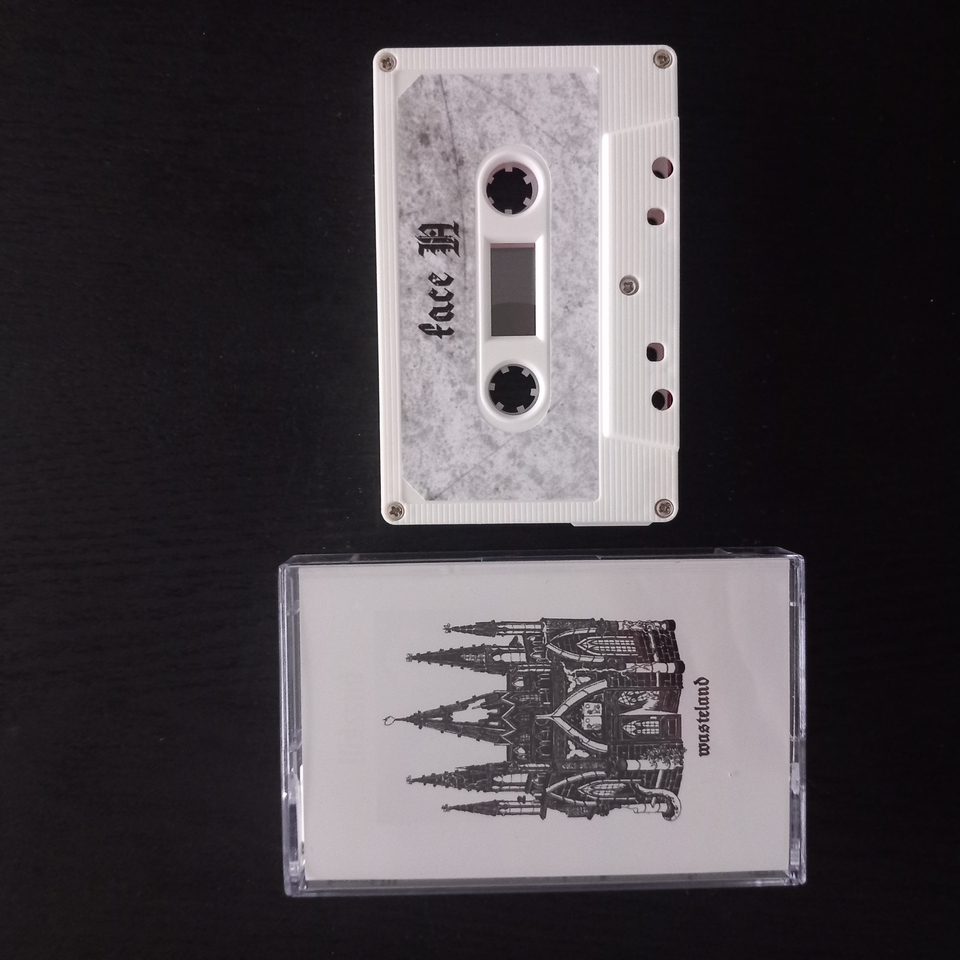 BUZZKILL - Wasteland