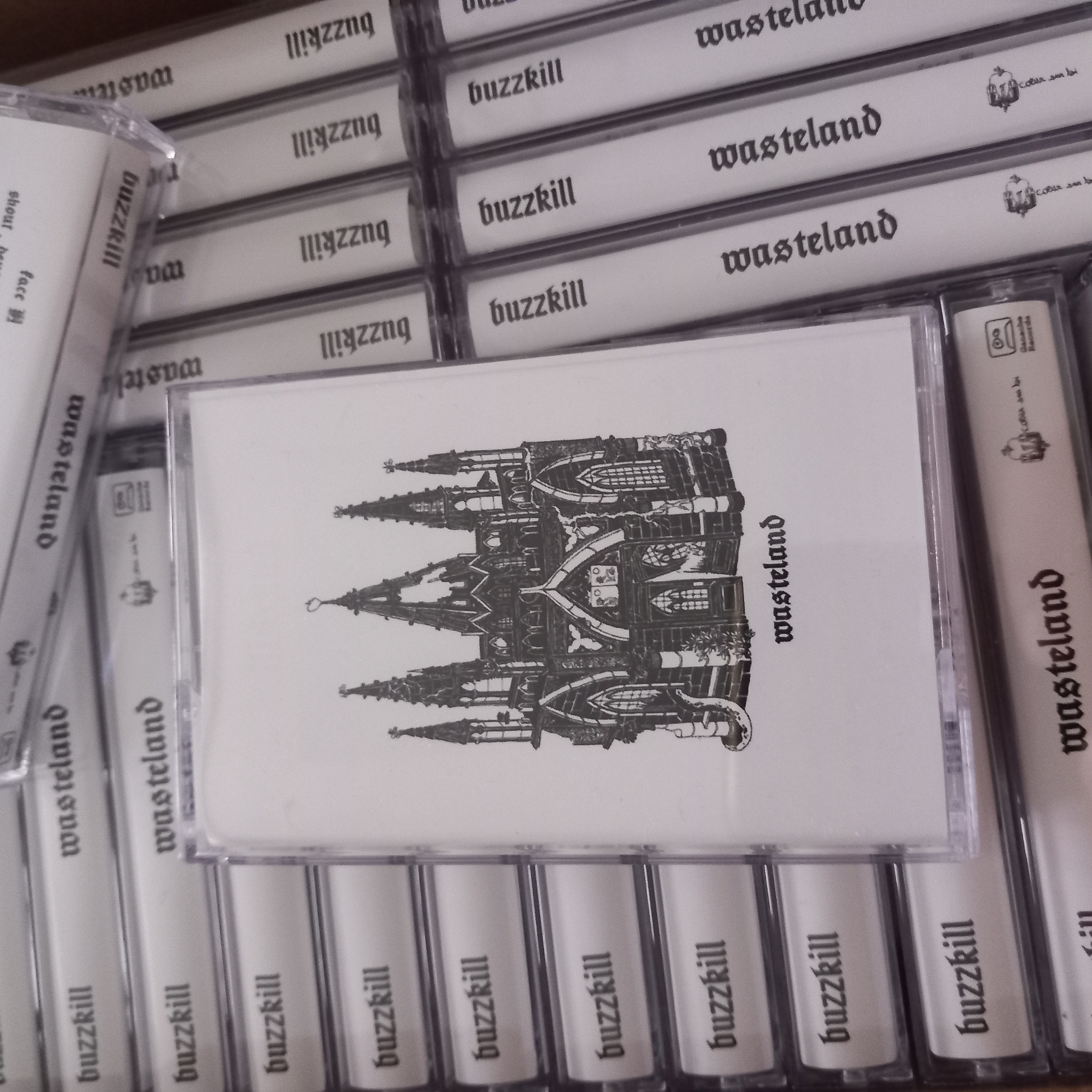 BUZZKILL - Wasteland