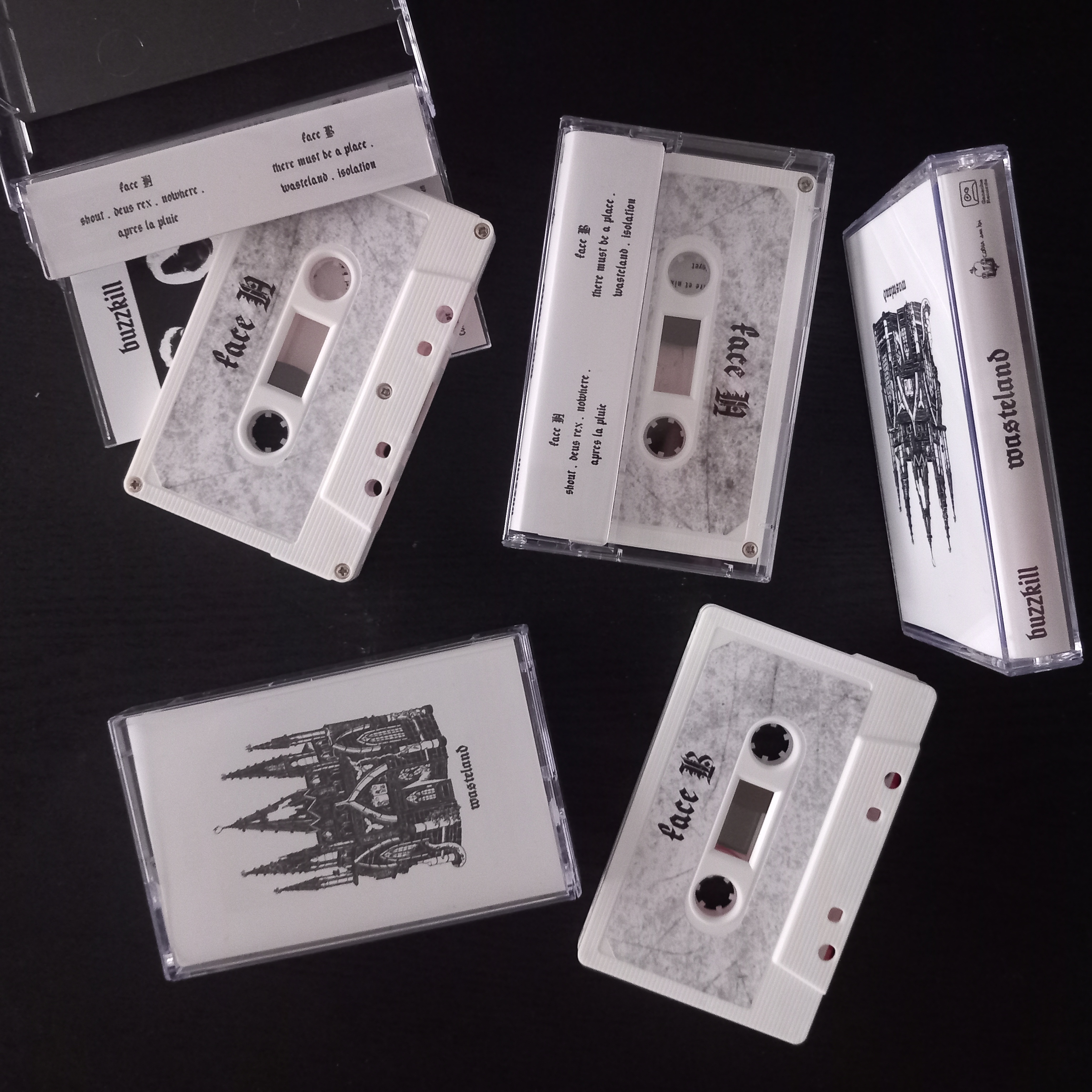 BUZZKILL - Wasteland