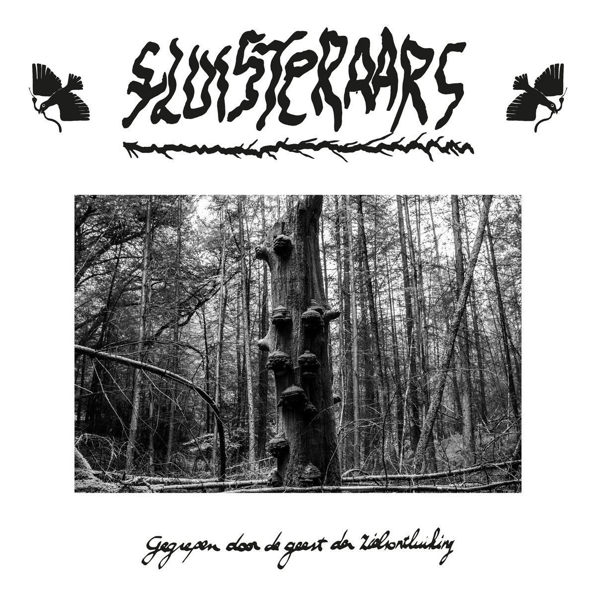 THE FLUISTERAARS - GEGREPEN DOOR DE GEEST DER ZIELSONTLUIKING