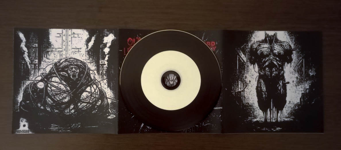 Old Leather & Absurd Reality