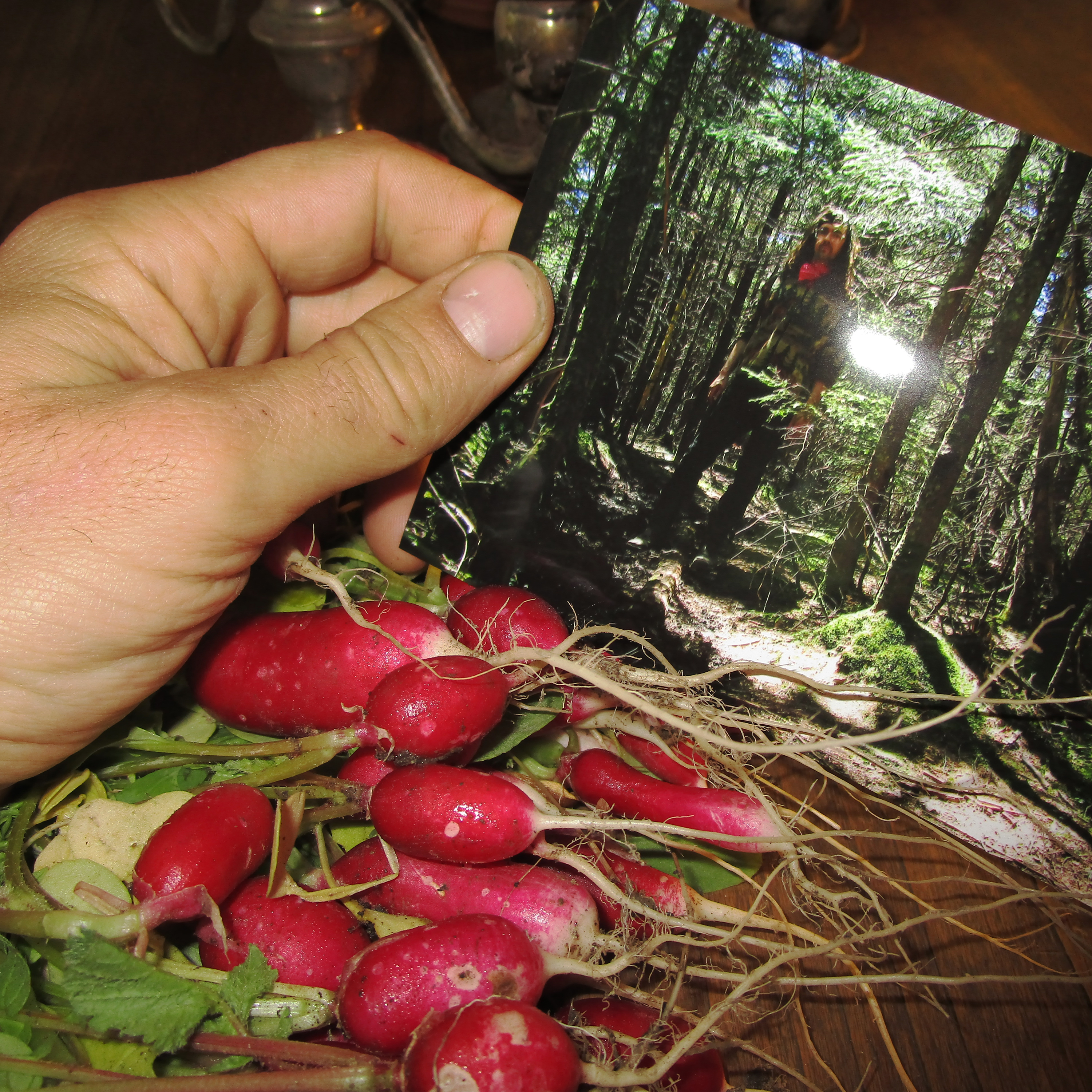 Reaches - The Land Is Kind