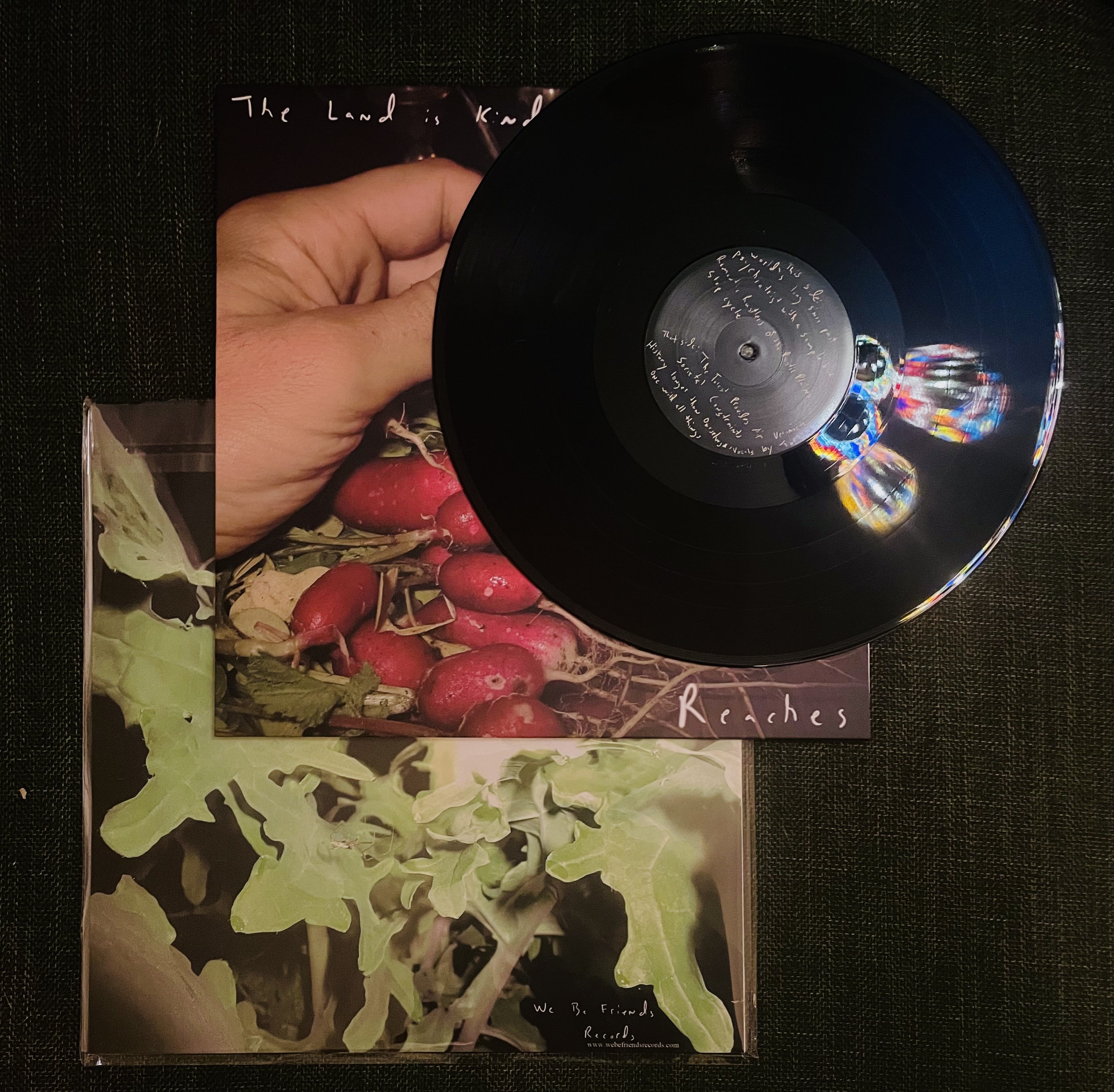 Reaches - The Land Is Kind