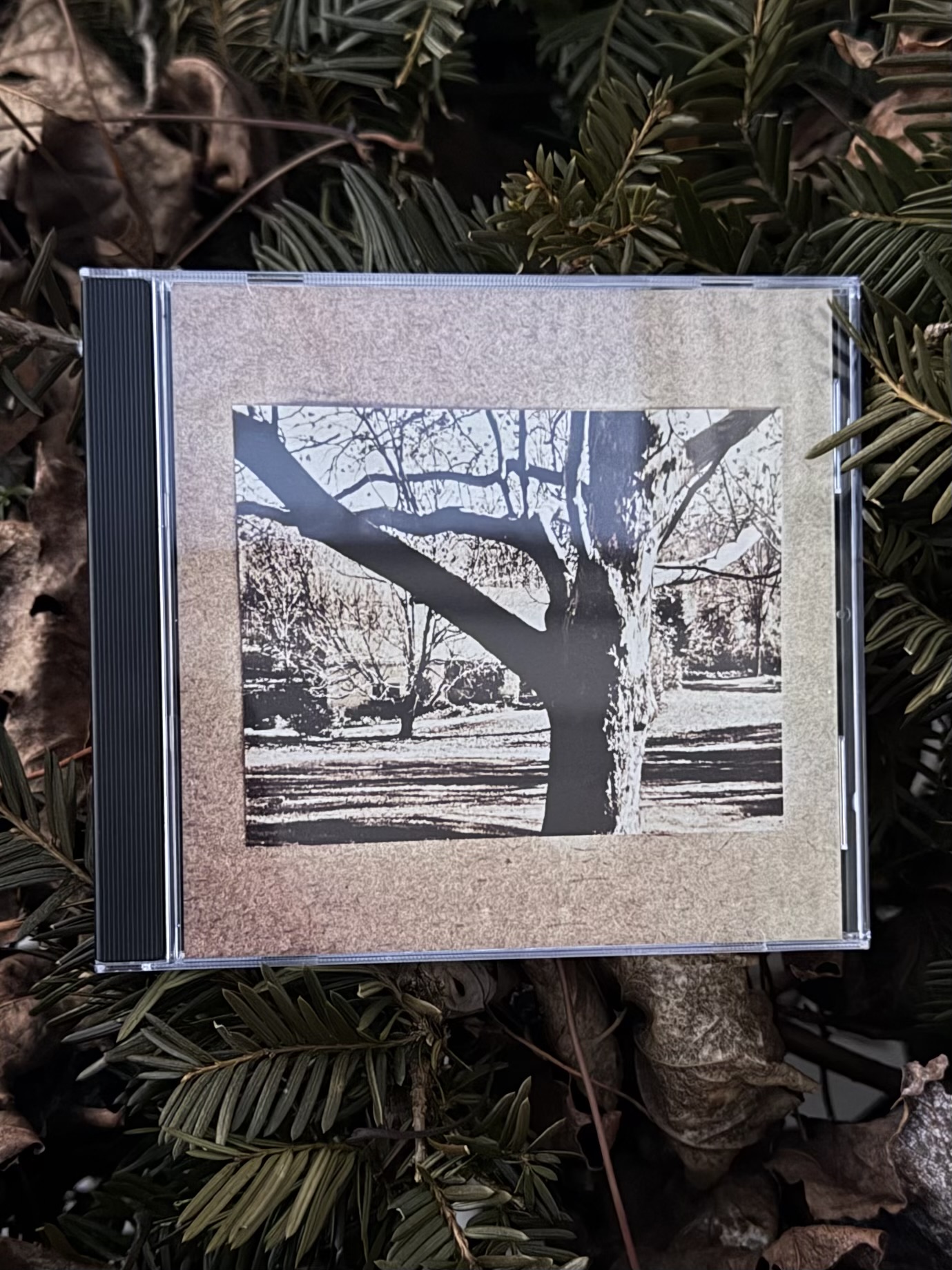 Life - Demo Four (tour edition)