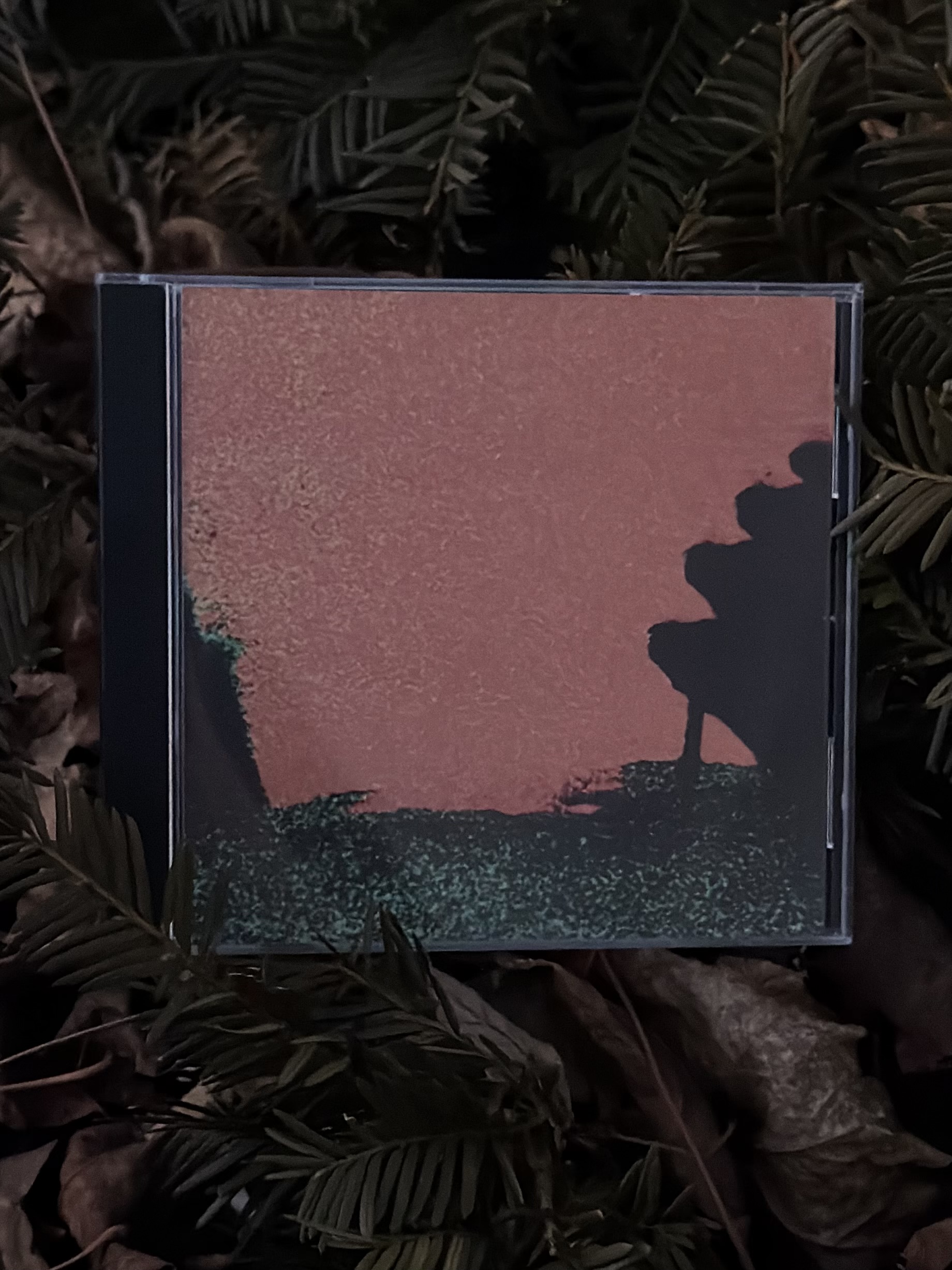 Life - Demo Five (tour edition)