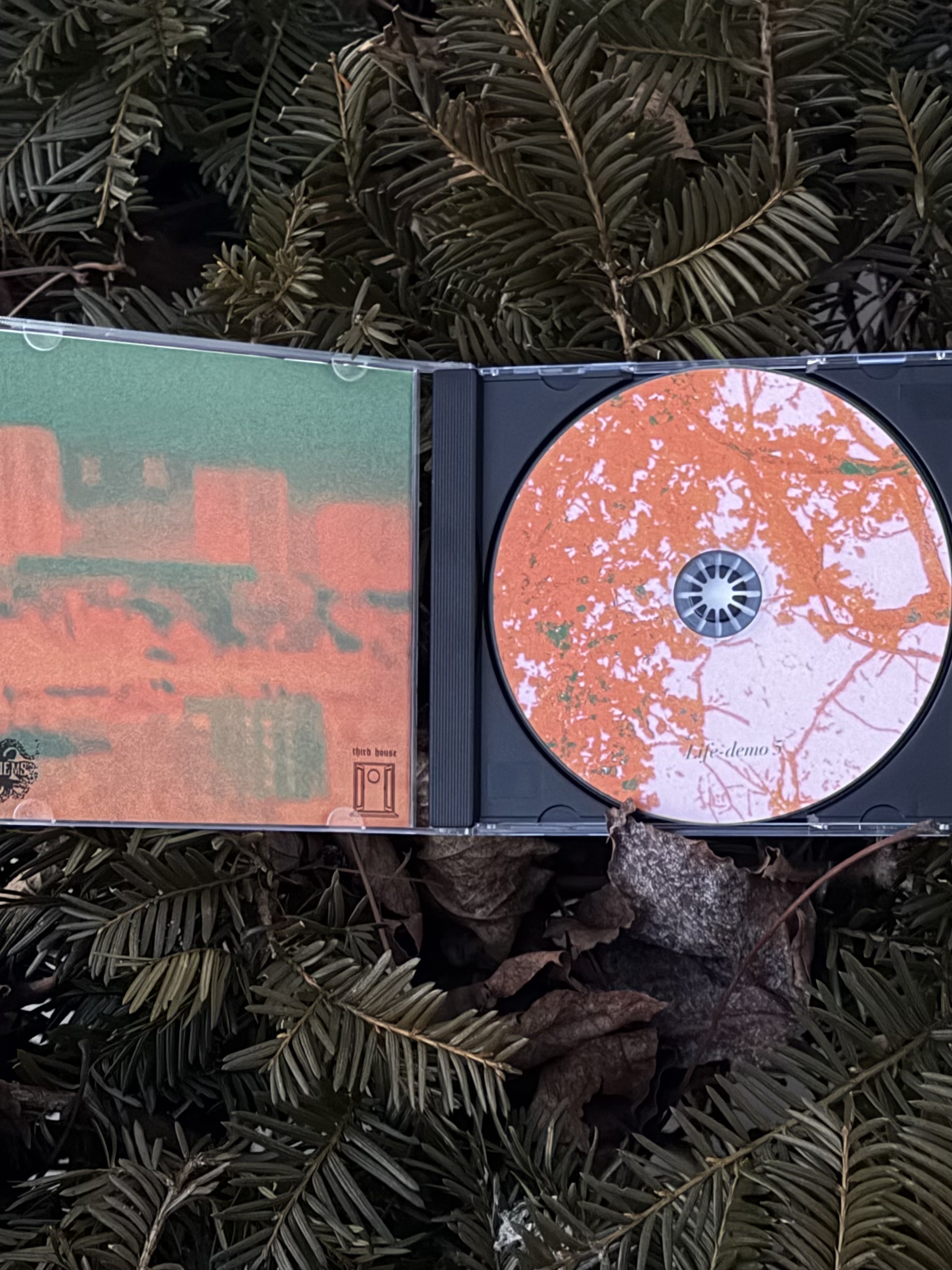 Life - Demo Five (tour edition)