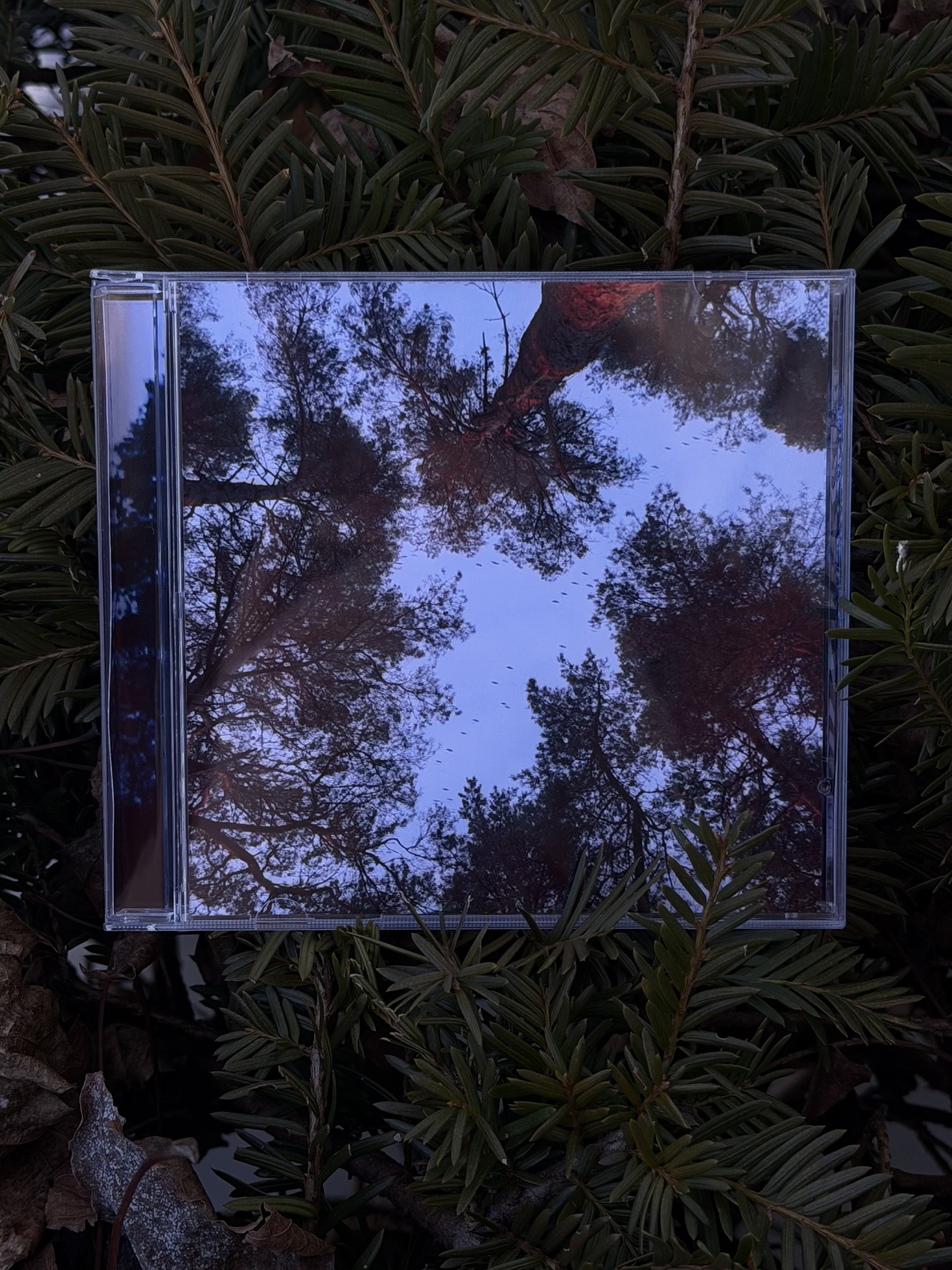 th87 Lux / Become Your Star (CD)