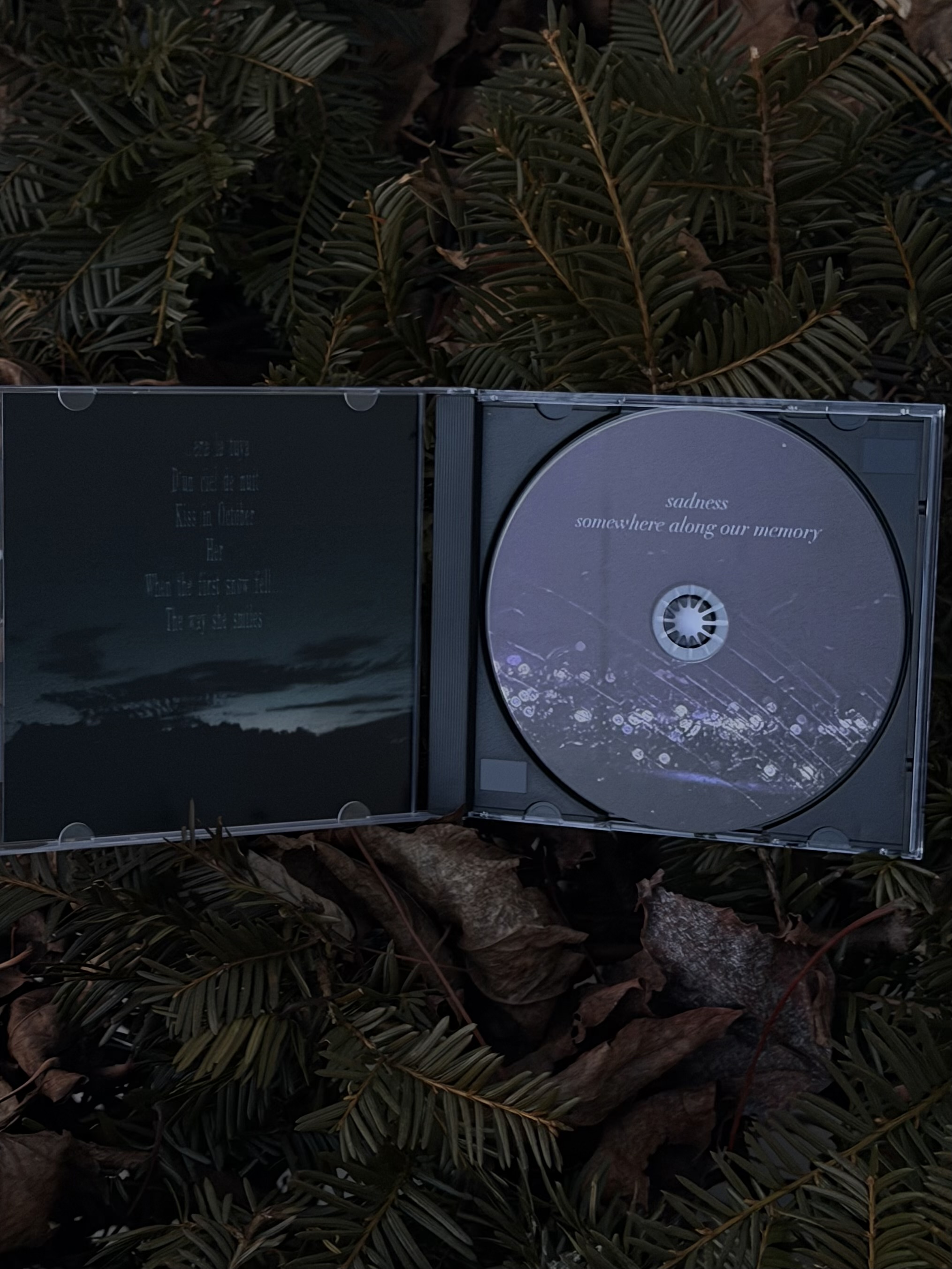 th81 Sadness / Somewhere Along Our Memory (CD)