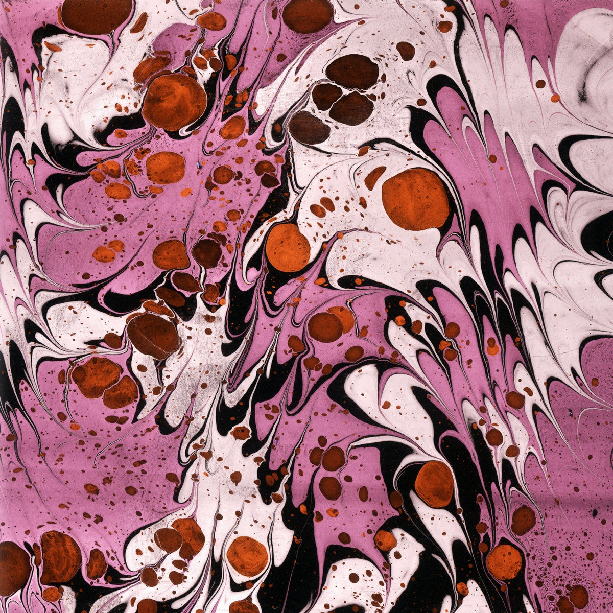 Gillian Carter / Eyelet - Split — One-off