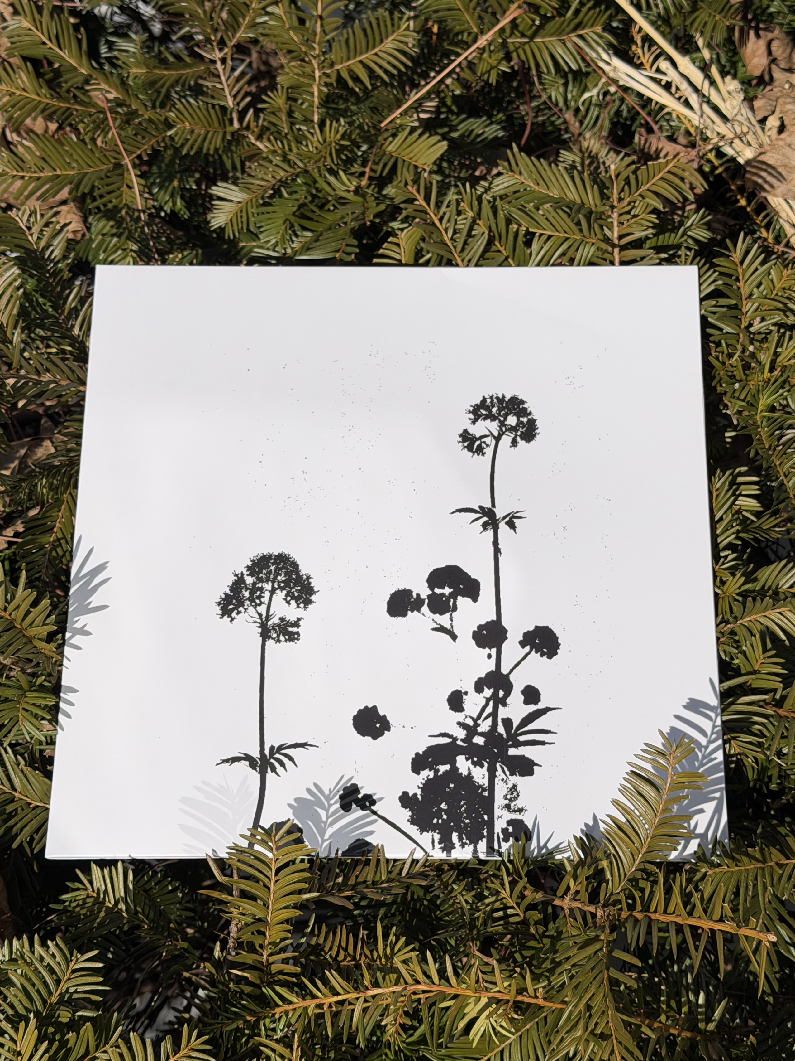 th55 & th56 Life / Demo six & ...and it still flutters LP