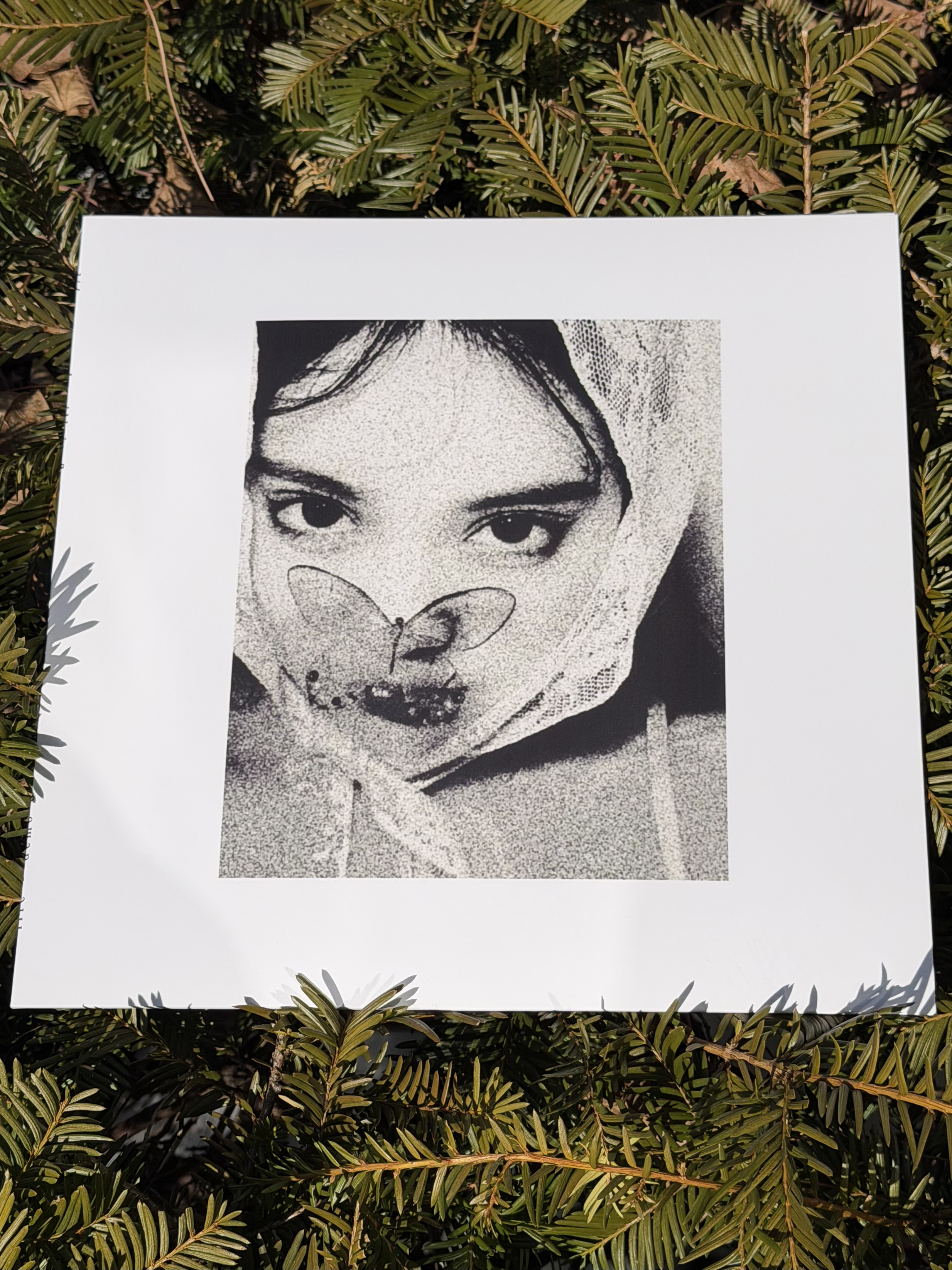 th55 & th56 Life / Demo six & ...and it still flutters LP