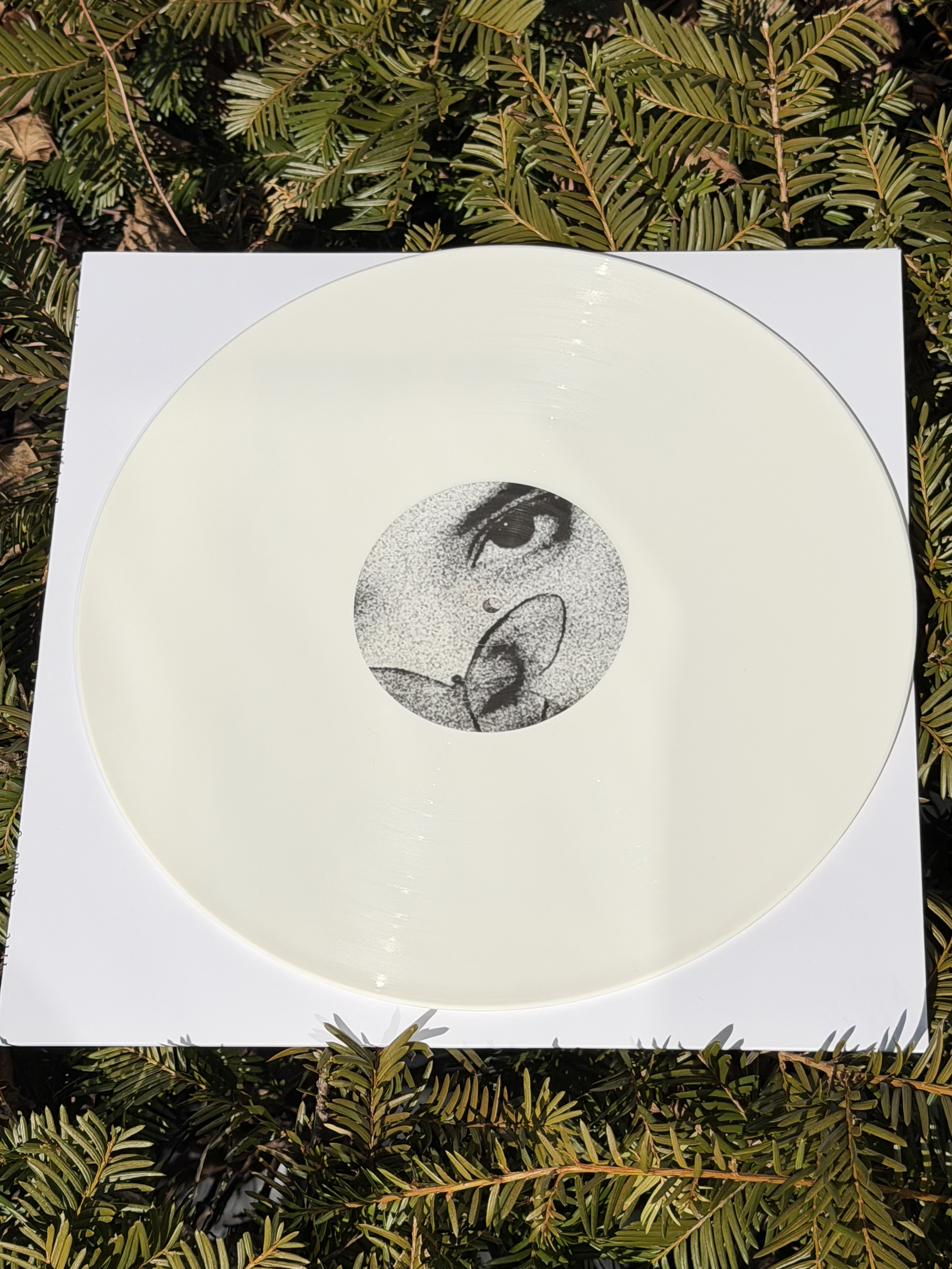 th55 & th56 Life / Demo six & ...and it still flutters LP