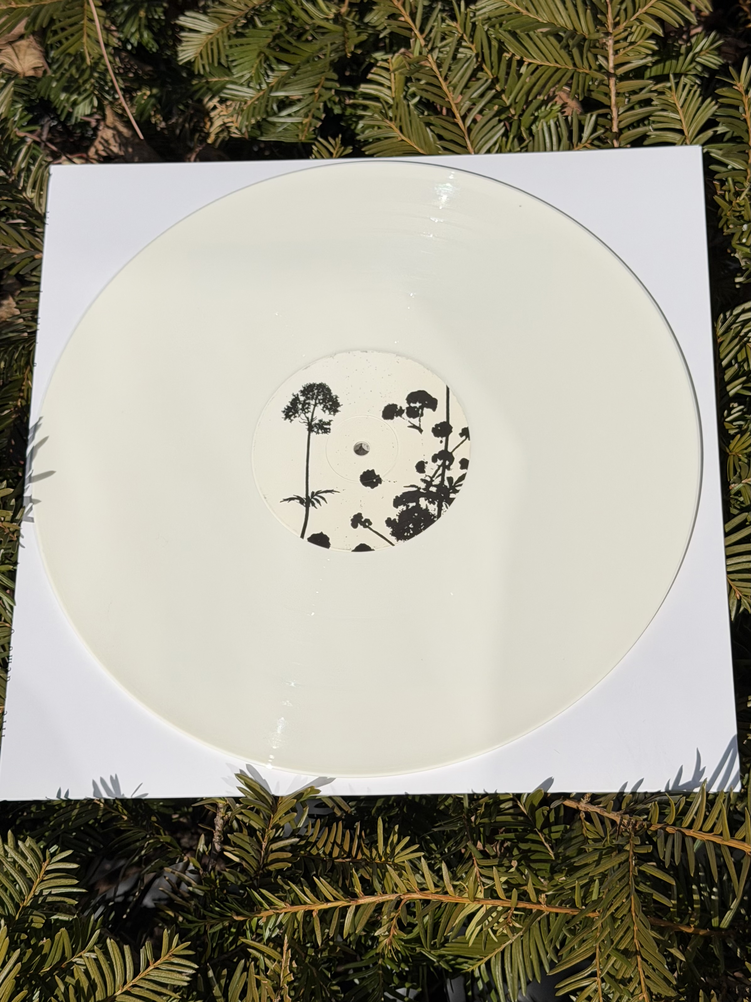 th55 & th56 Life / Demo six & ...and it still flutters LP