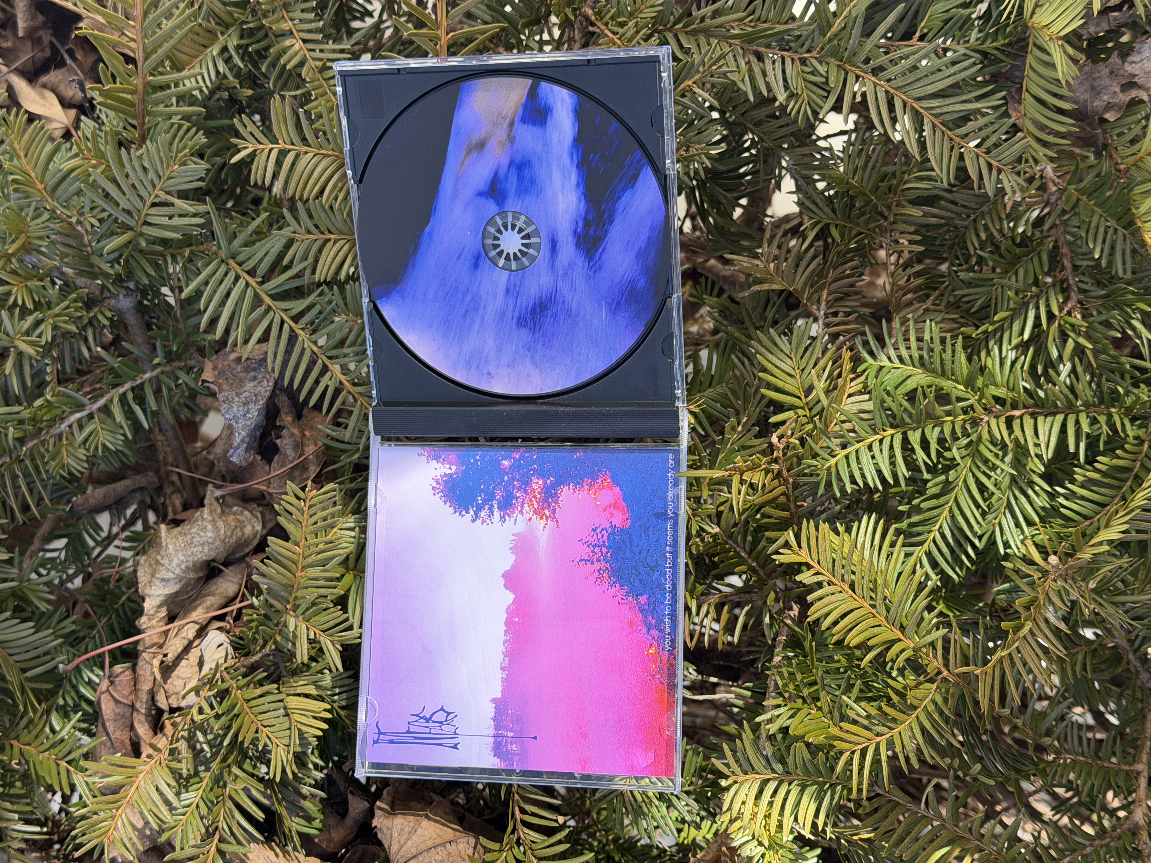 th86 In Tears / let it be me (CD)