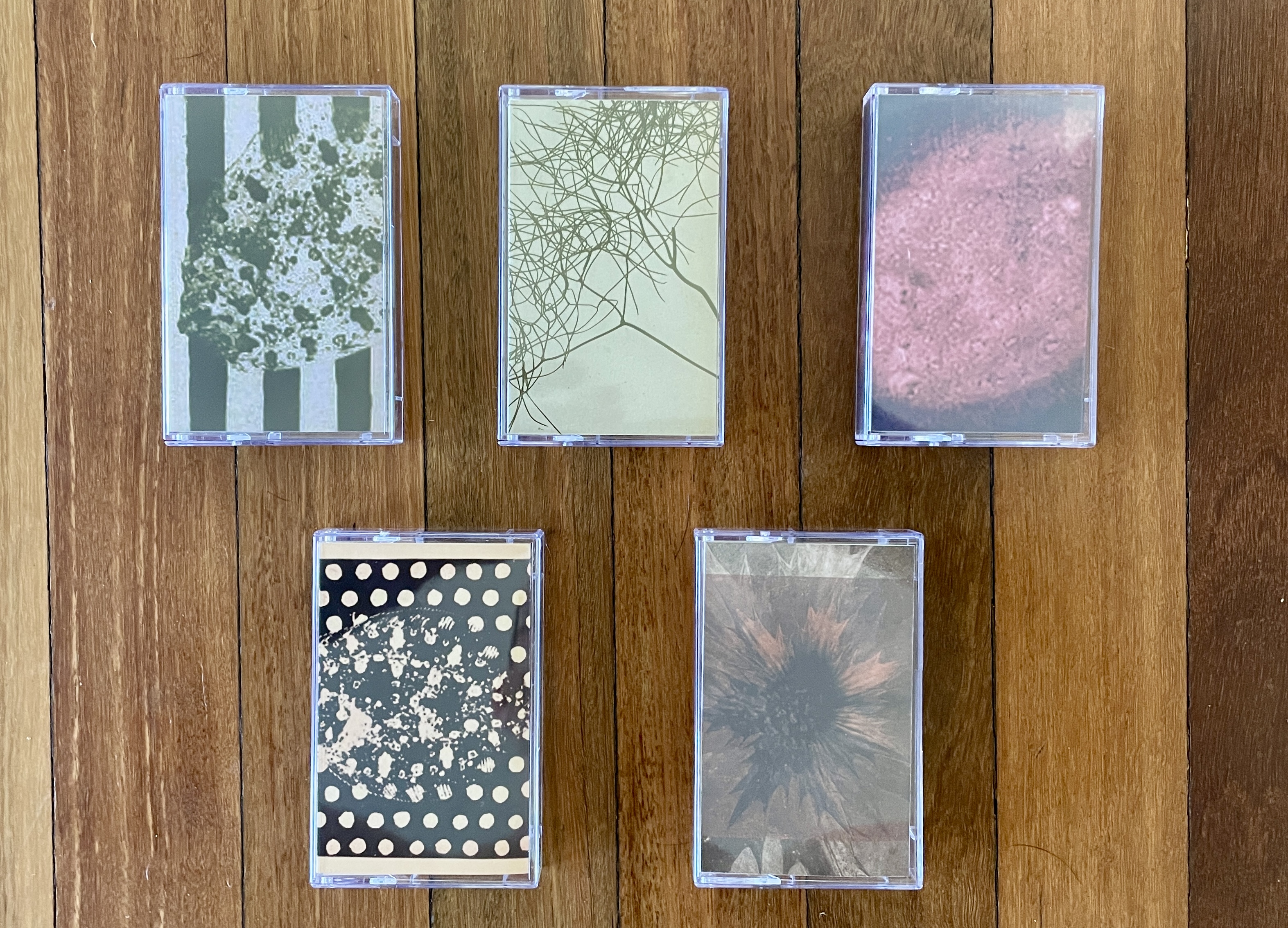 ff8282 - ‘No Statue'