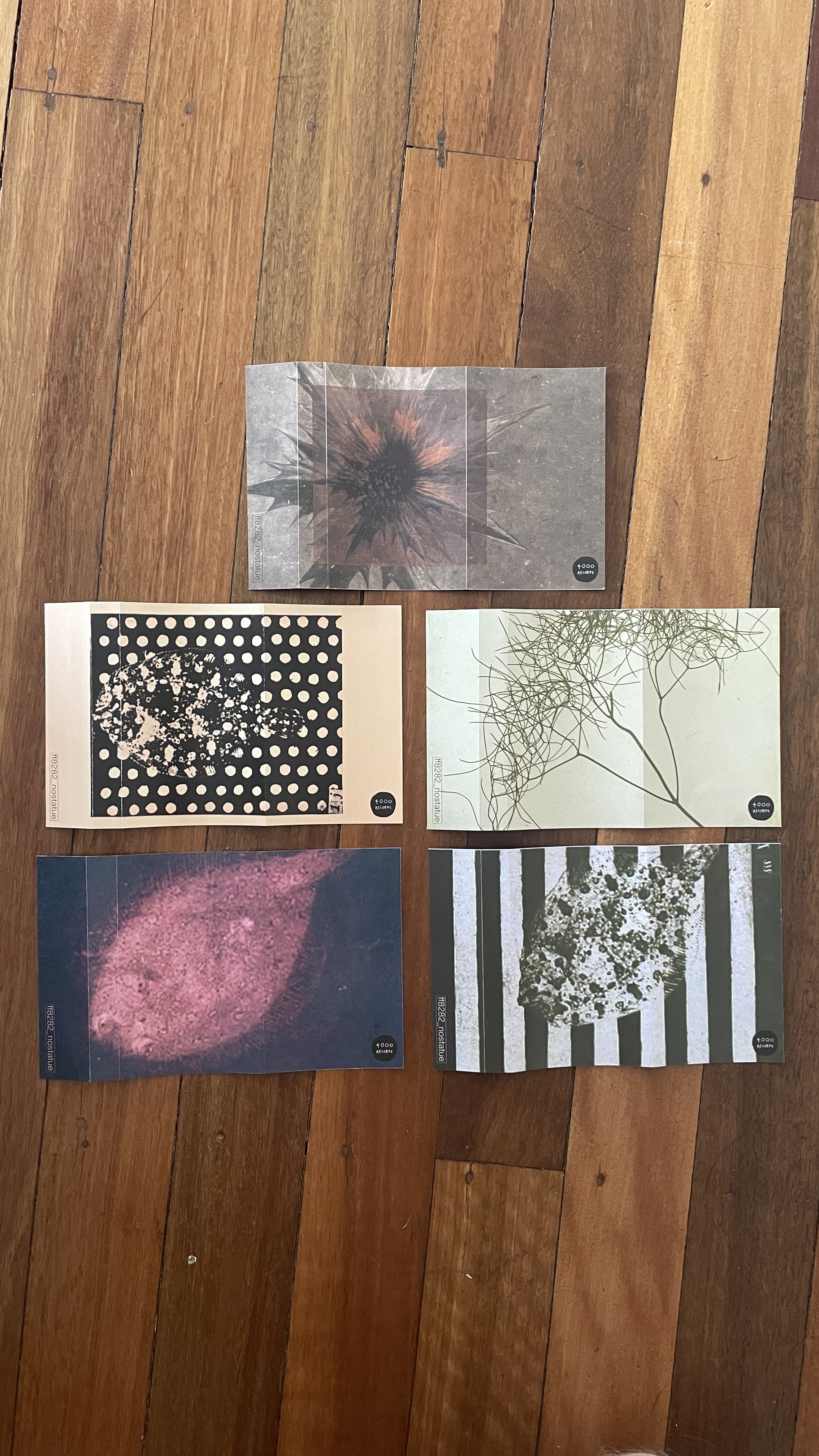 ff8282 - ‘No Statue'