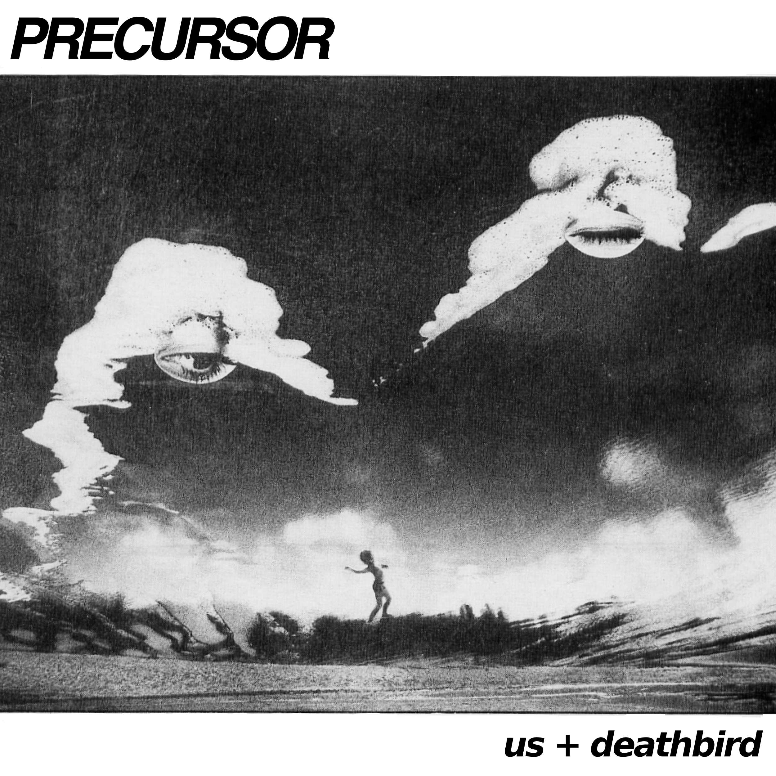 Precursor