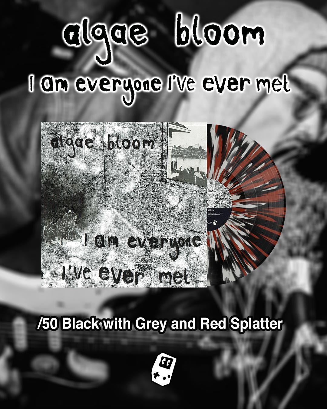 Algae Bloom - I am everyone i've ever met